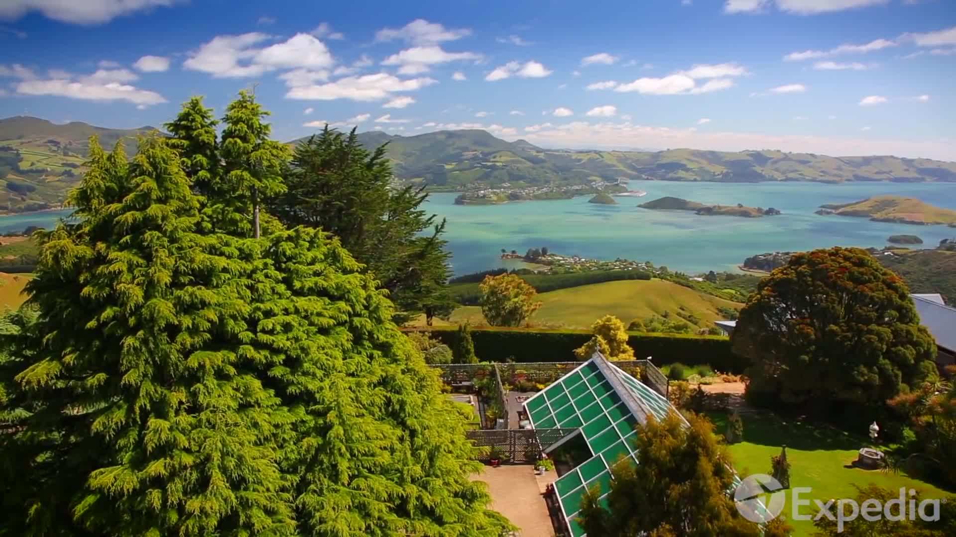 Dunedin Botanic Garden: A peaceful retreat amidst nature