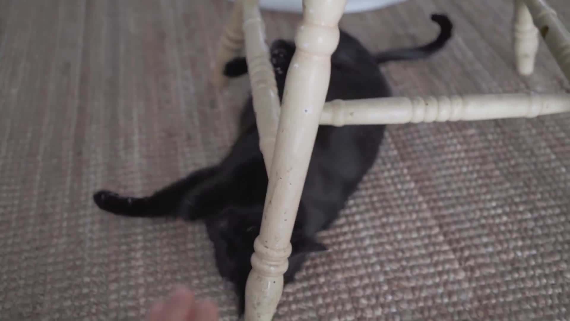 Exploring the children's section and finding a vintage jacket