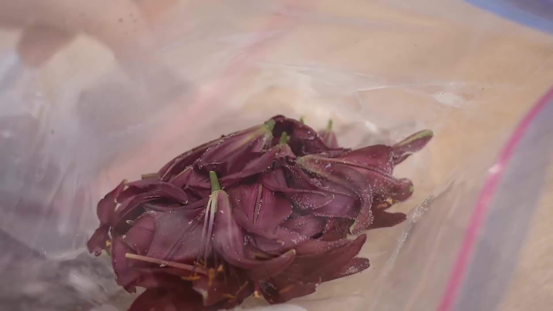 A visual guide to natural dye techniques using avocado pits and onion skins