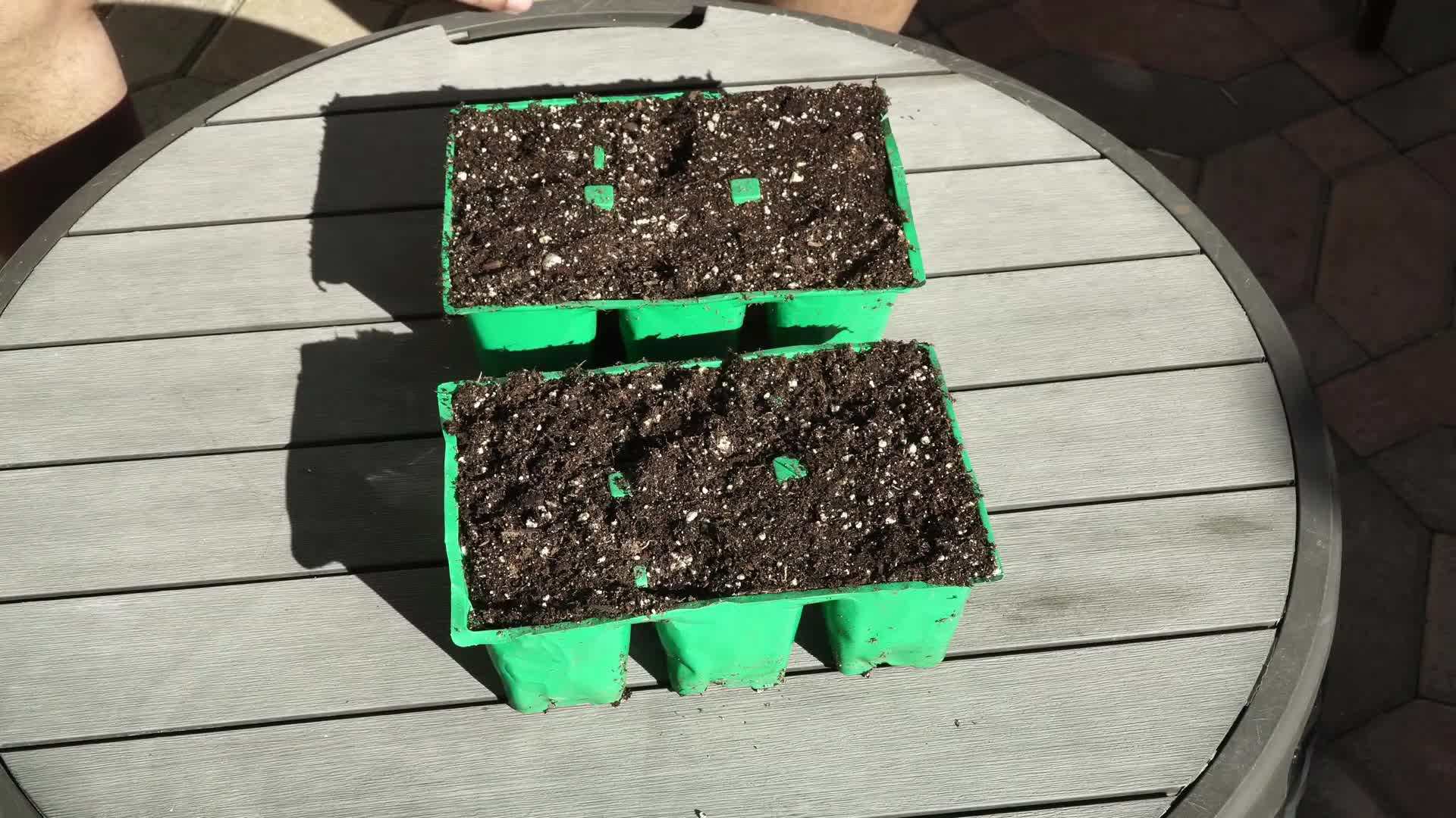 Protecting Plants from Frost