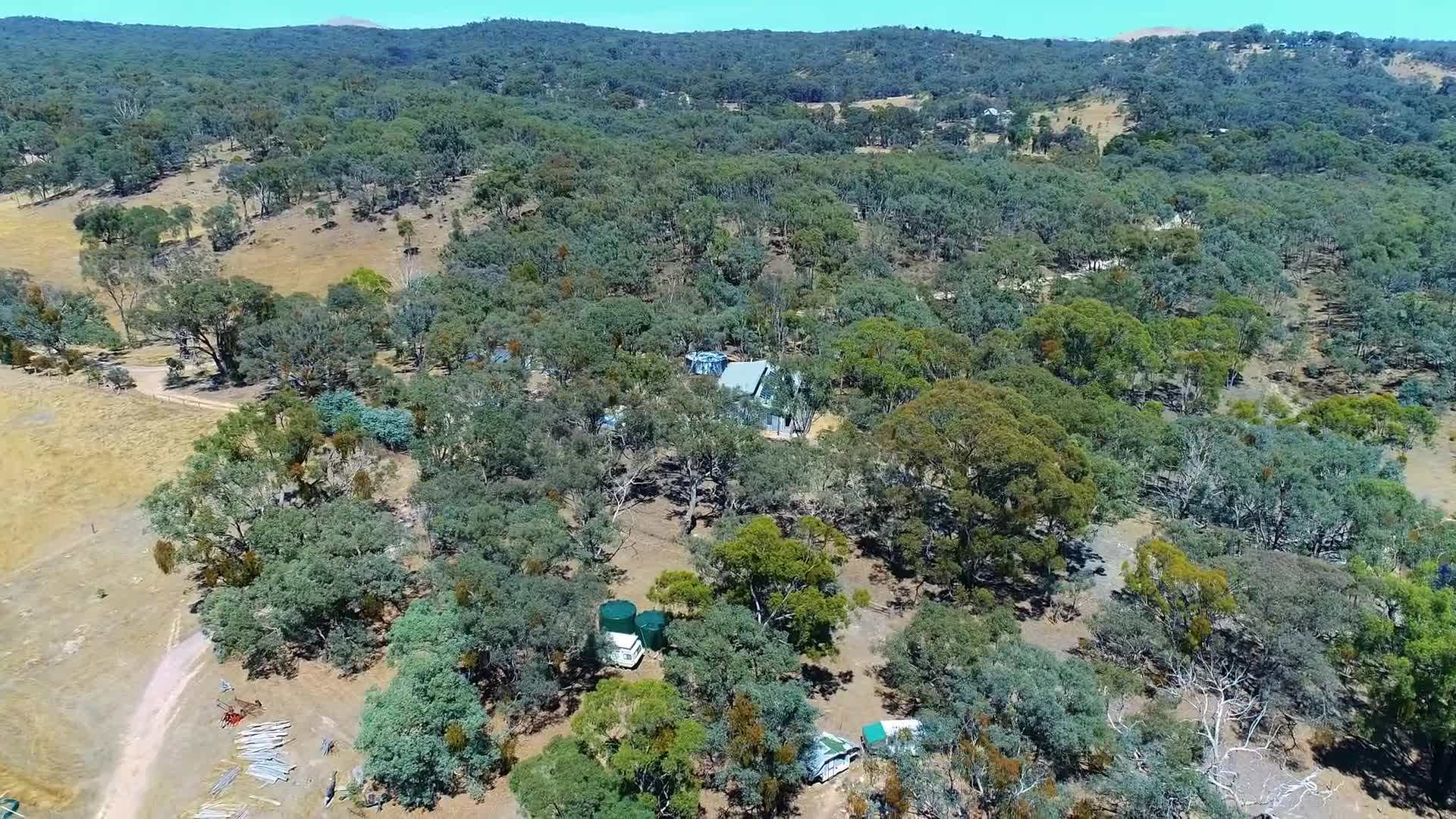 Freshly harvested produce from the permaculture farm