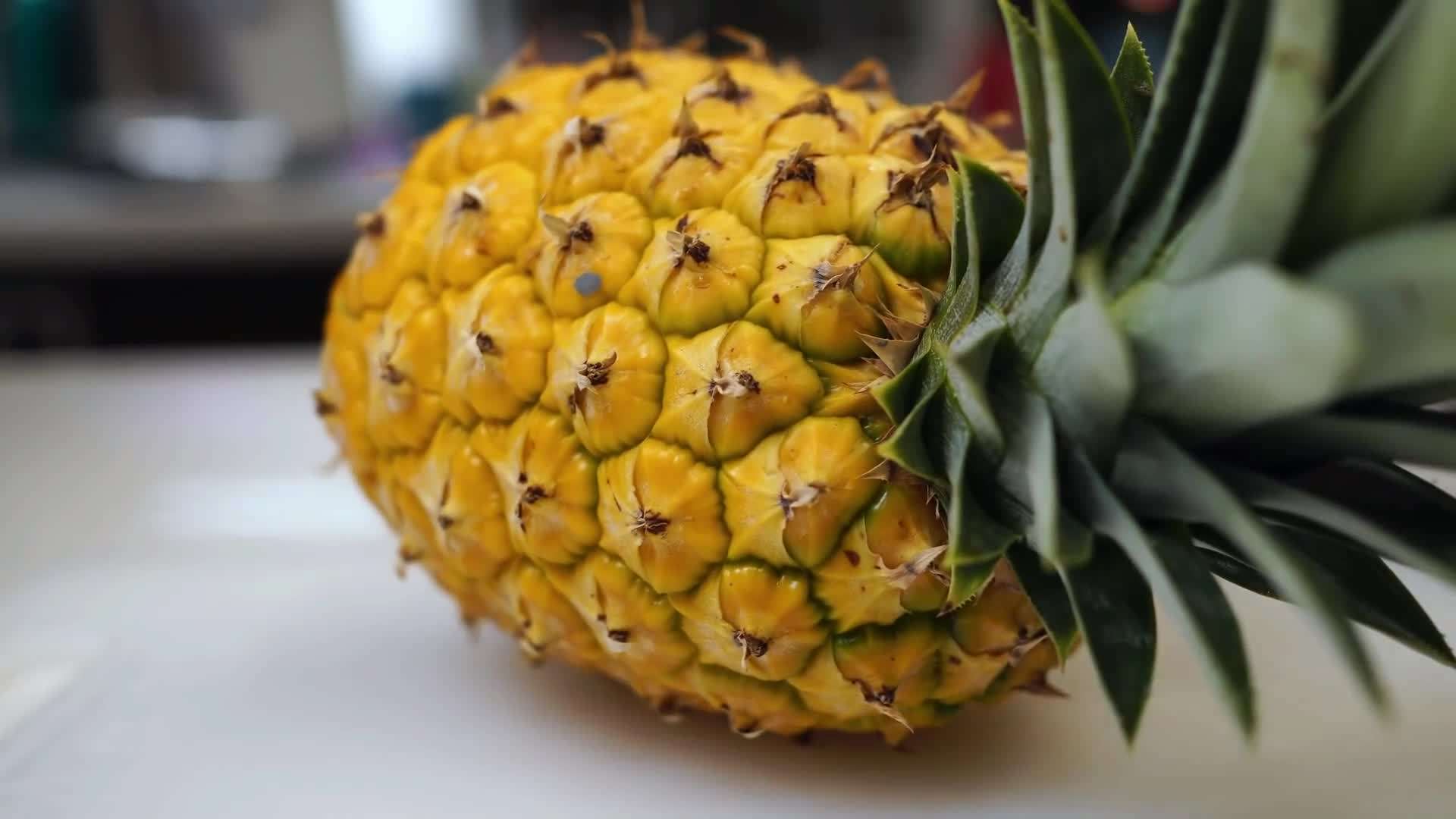 Maintaining a healthy pineapple plant