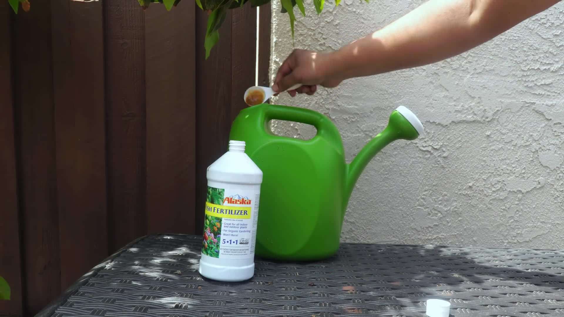 Components of a Good Potting Mix