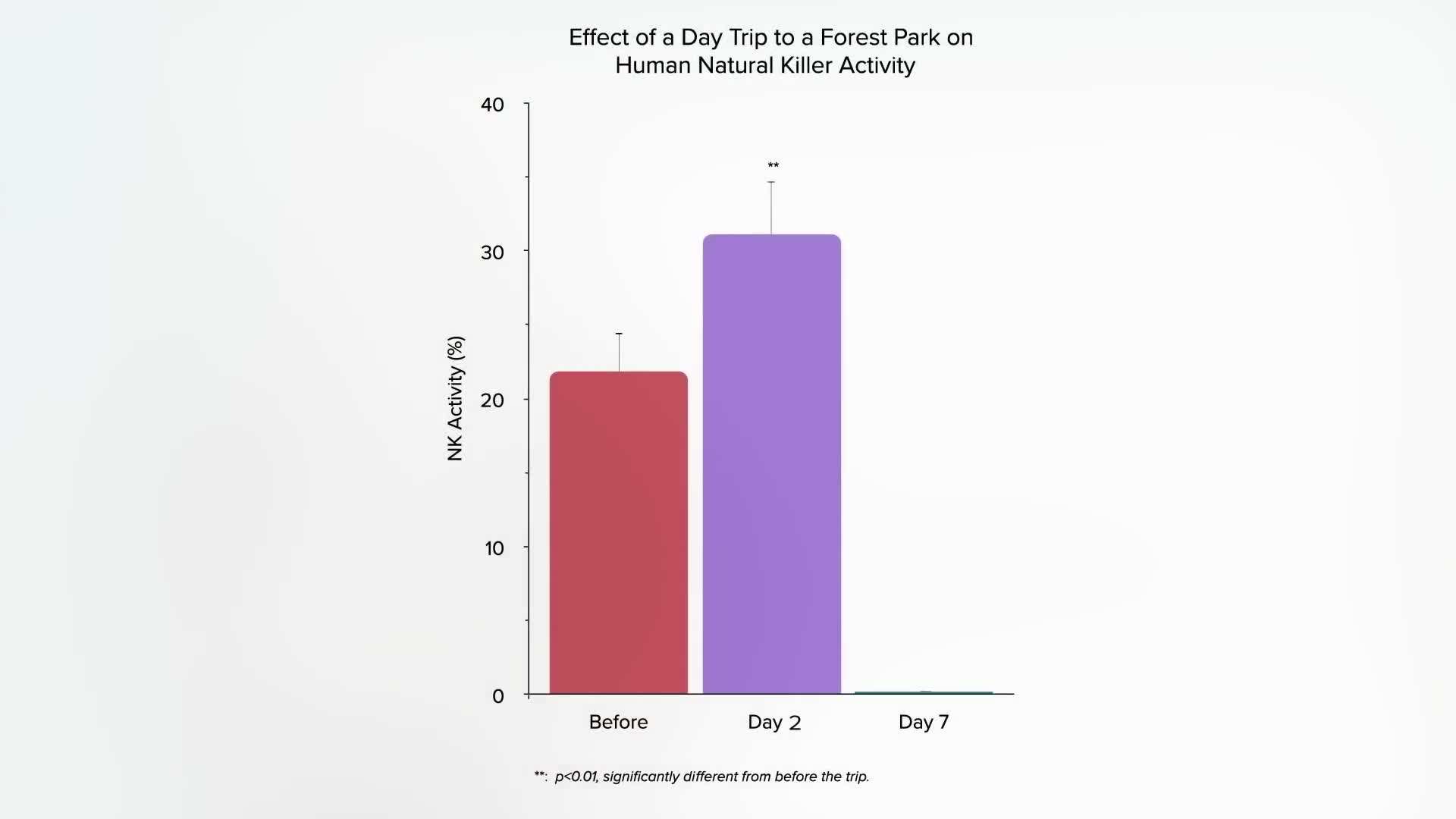 Forest Bathing in Action