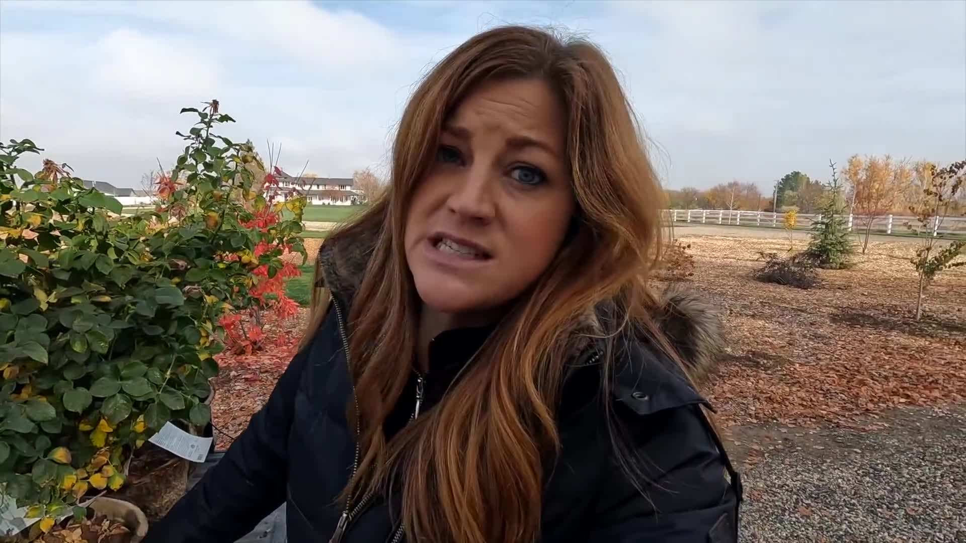 Amend the soil with compost or well-rotted manure