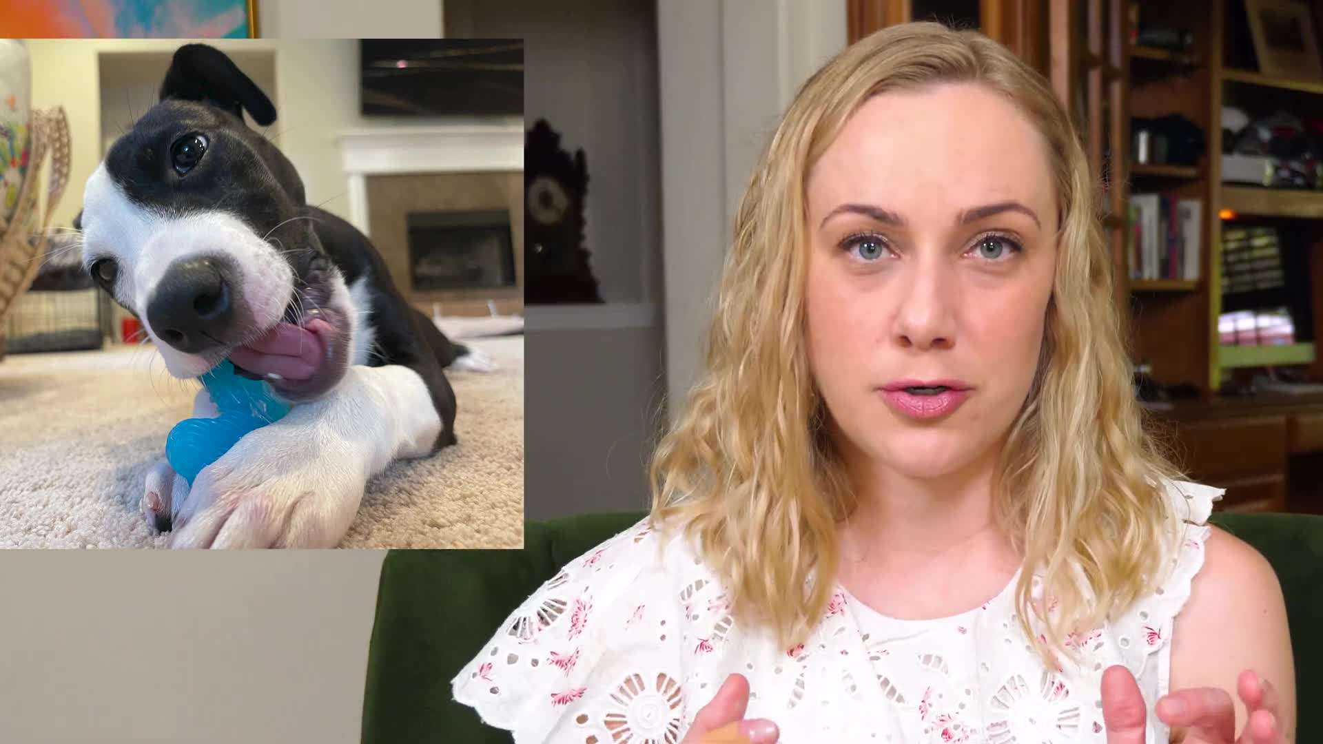 Curating a Healthy Social Media Feed