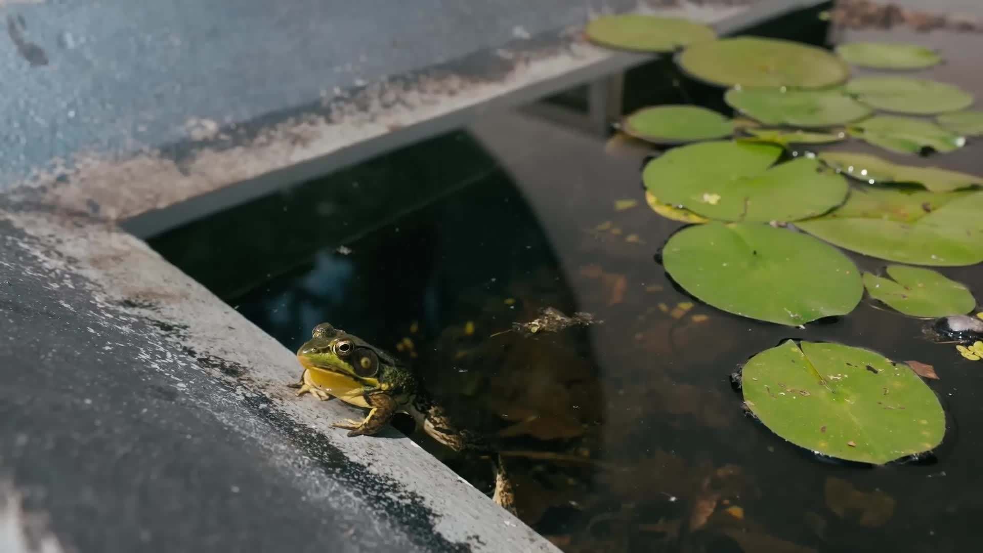 Exterior View of the Sustainable Landscaping