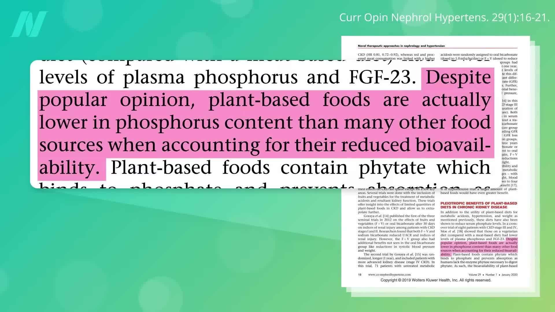 A visual depiction of a plate filled with colorful plant-based foods, highlighting their importance in kidney health