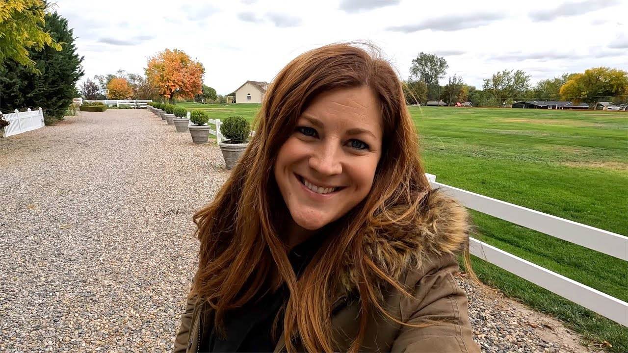 Transplanting 14 Boxwoods: A Comprehensive Guide to Successful Transplantation