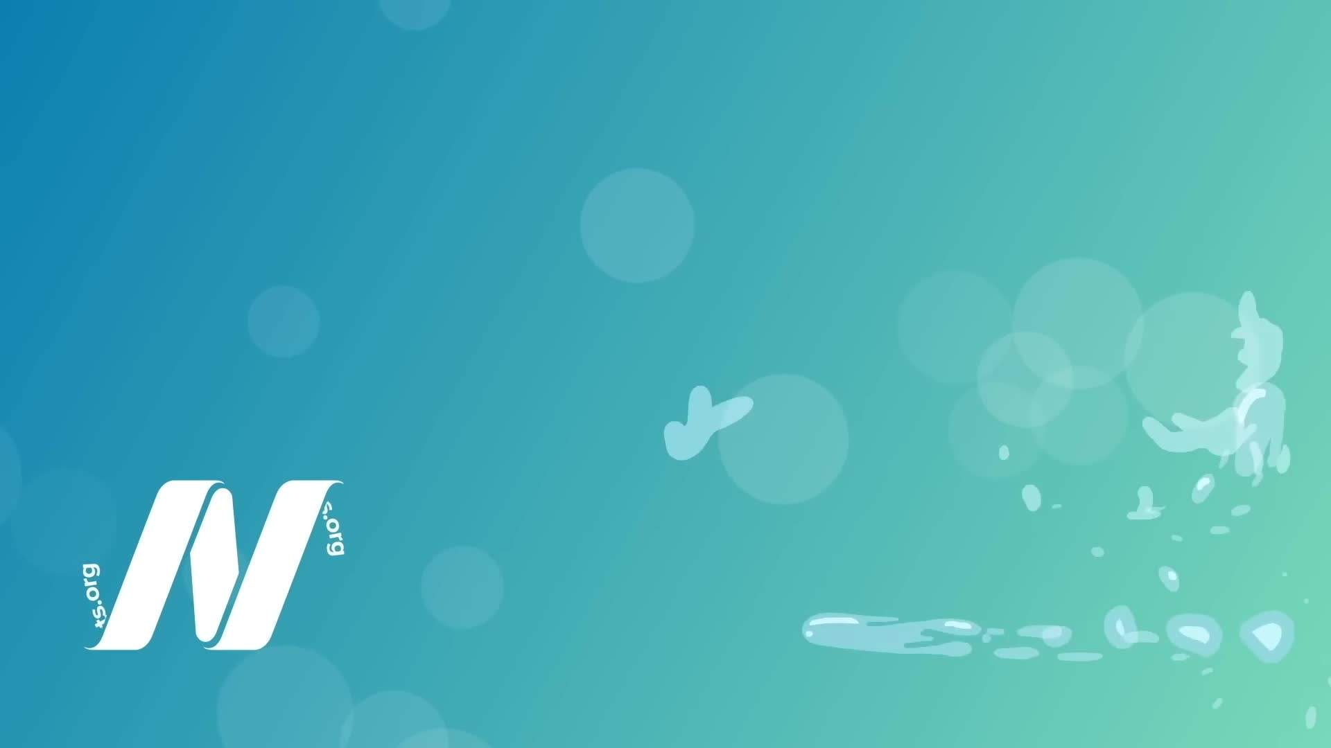 An image highlighting various plant-based protein sources that are beneficial for kidney health