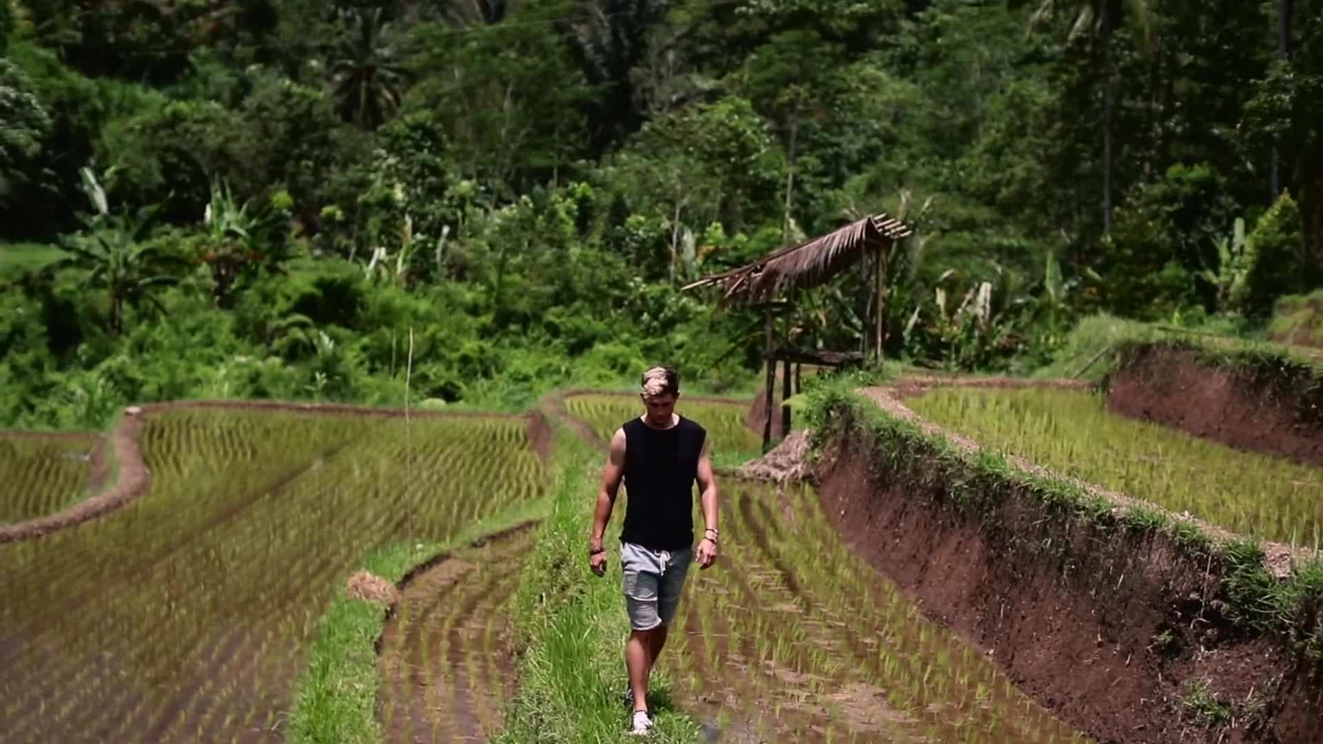 Hiking the scenic trails of Stanley Park