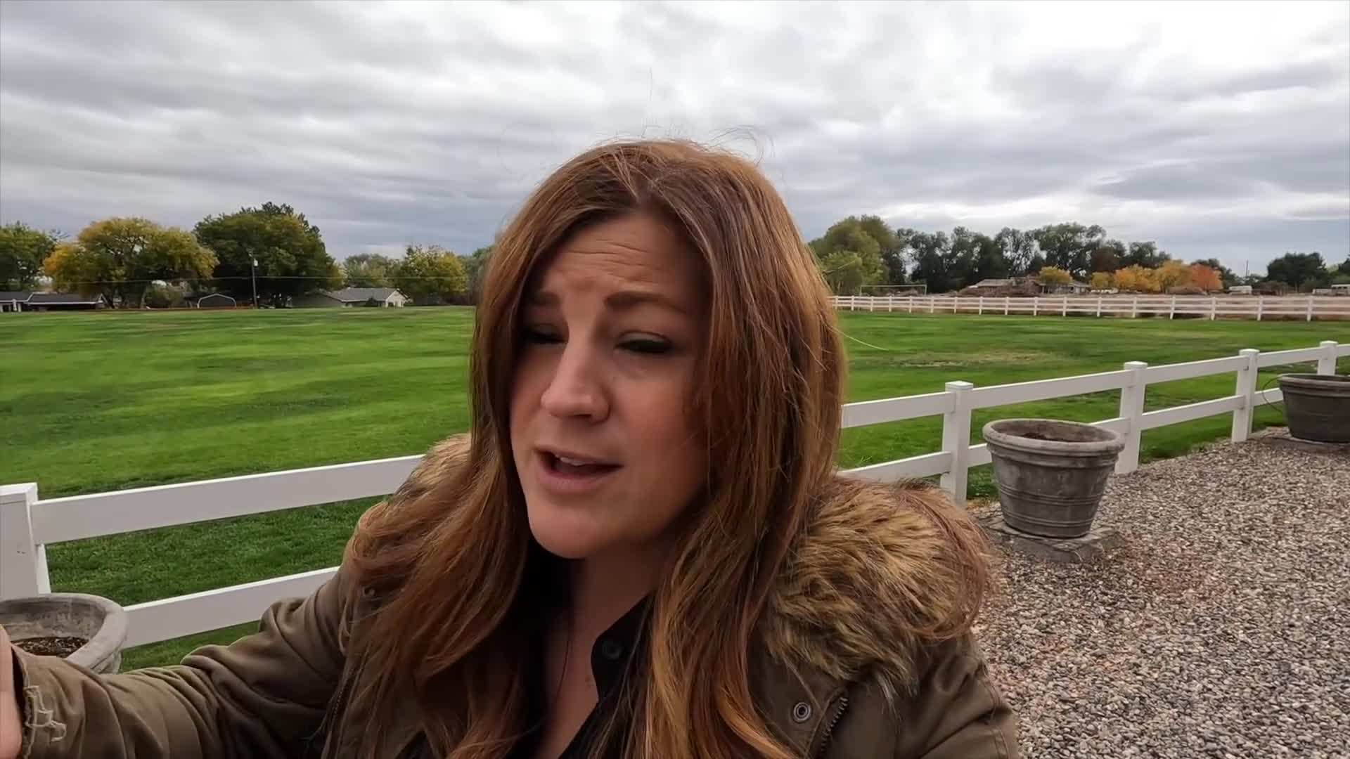 Lowering the boxwood into the new hole