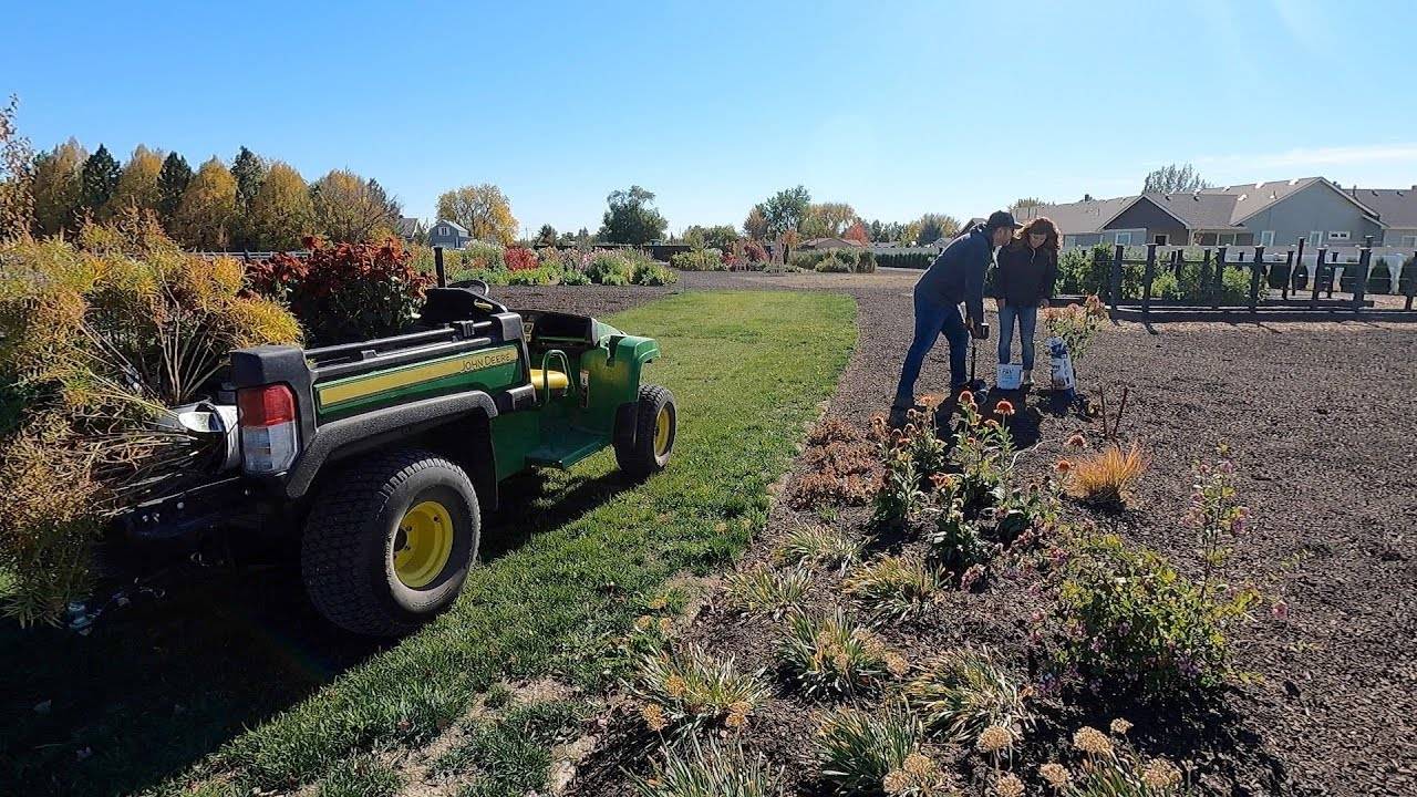Planting Some Rough Looking Stuff: A Garden Answer Tutorial