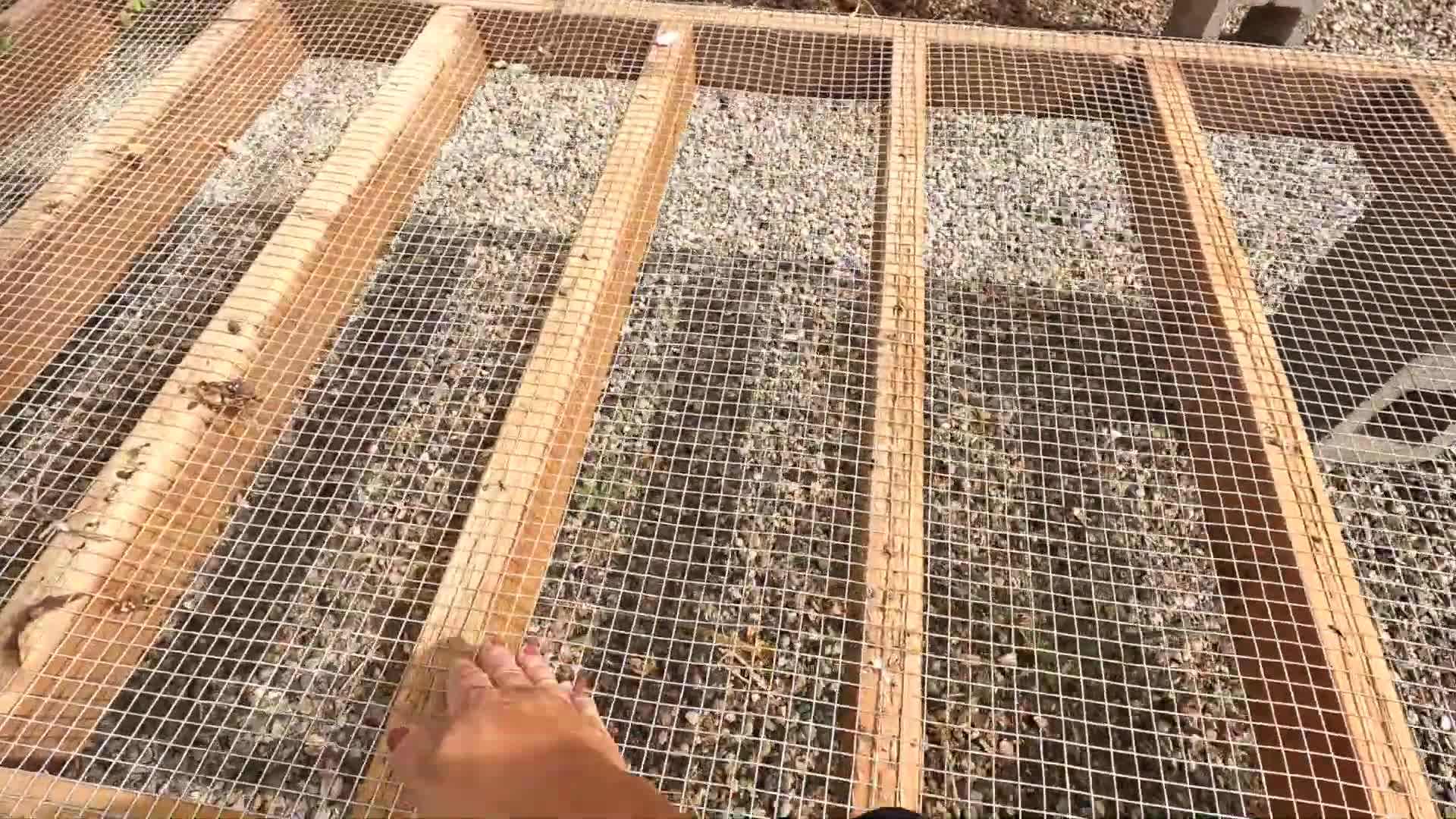 Inspecting the High Tunnel