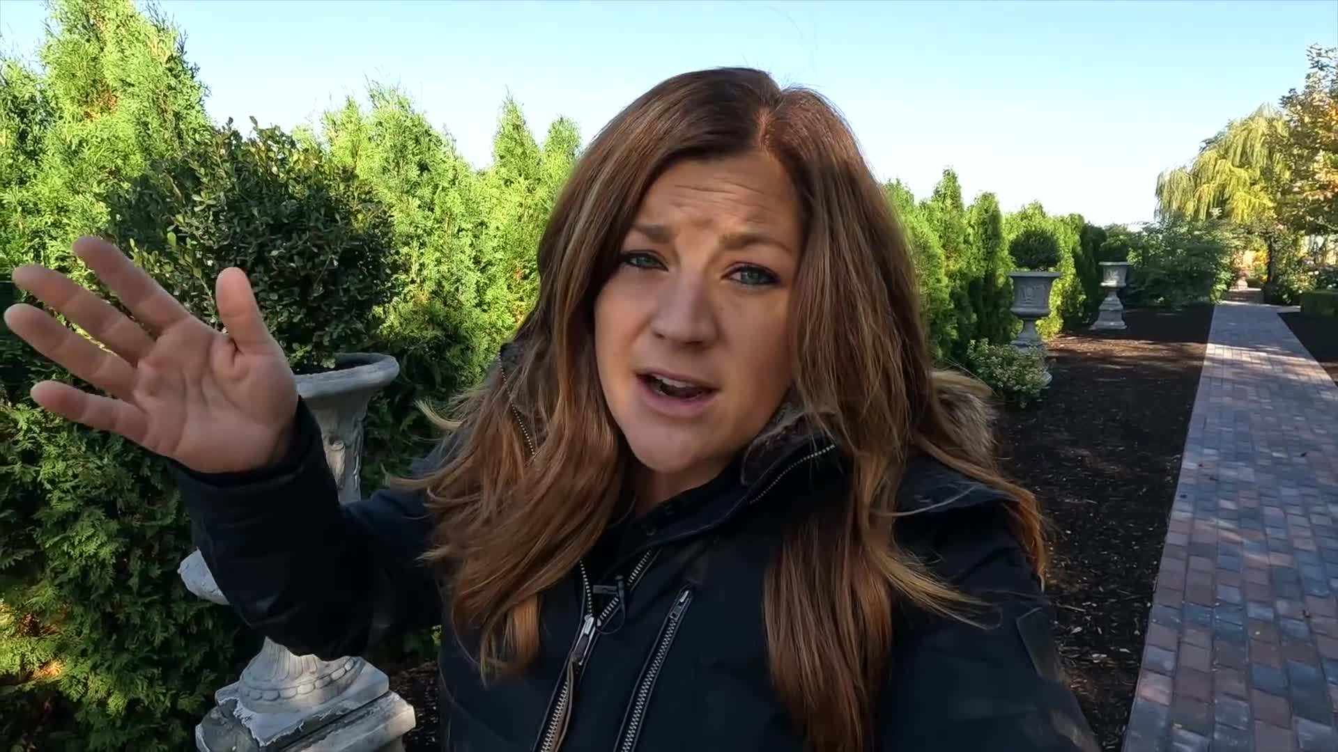 Little Henry Itea with its delicate white flowers turning deep red in the fall