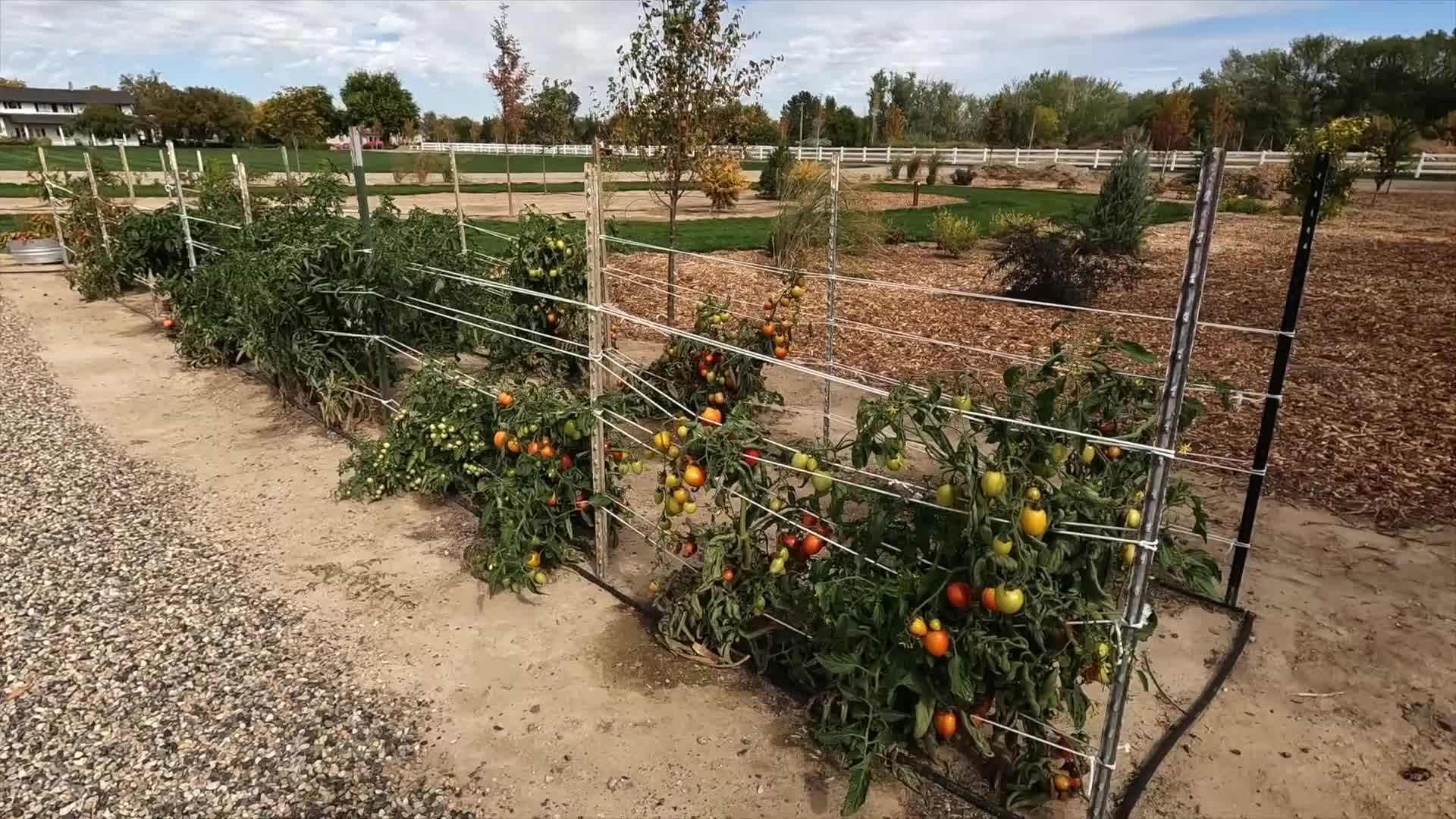 Disassembling the High Tunnel Frame