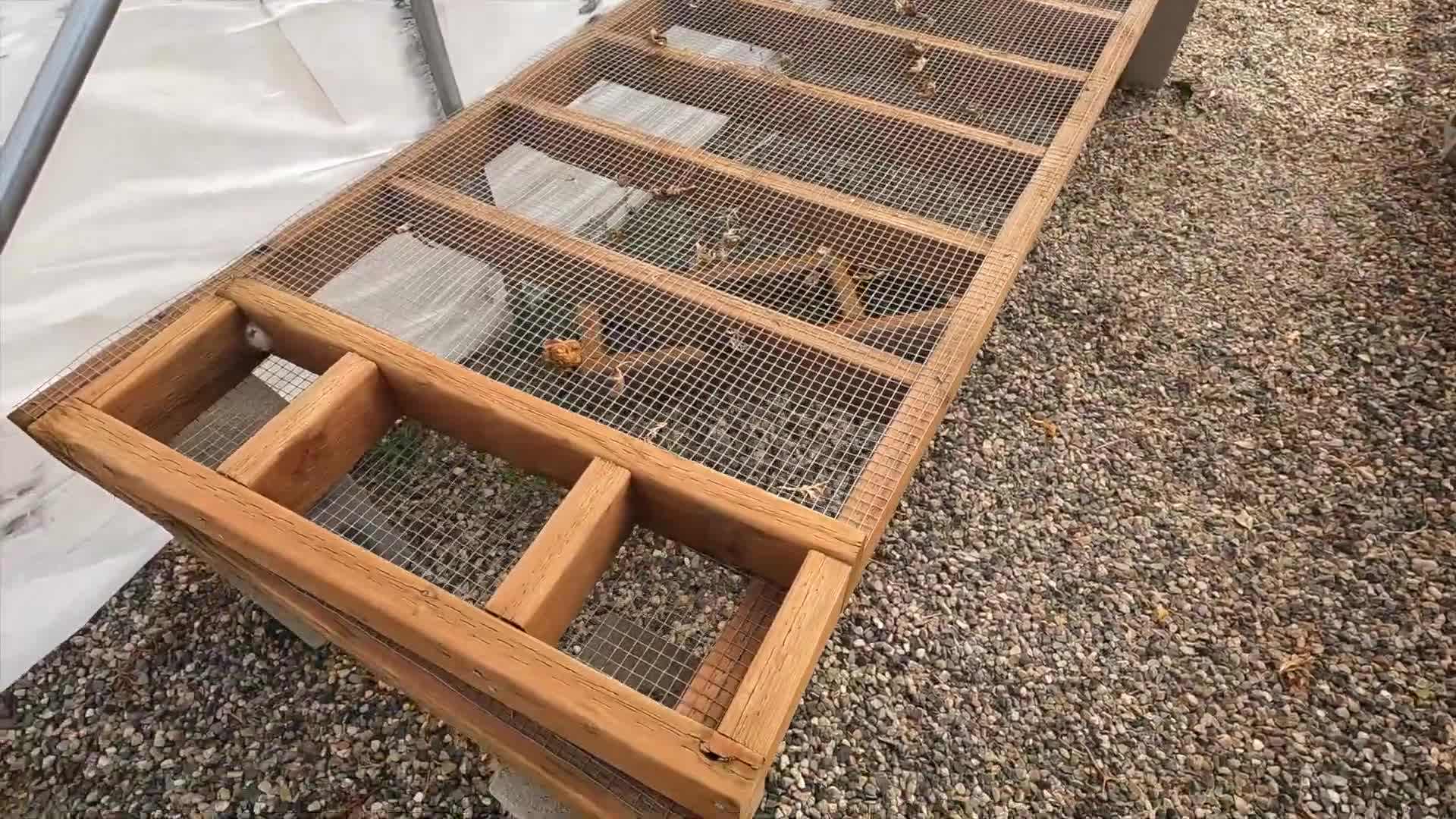 Removing the Plastic Covering