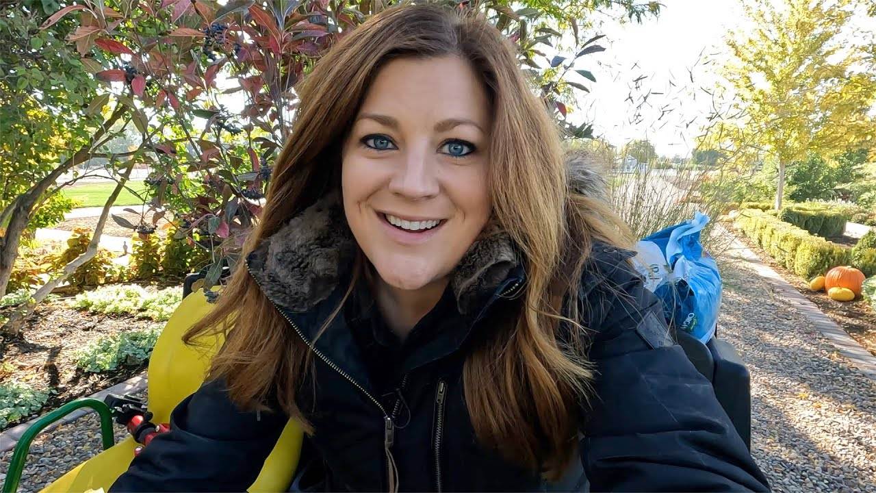 Planting for Fall Interest: Tips and Tricks from Garden Answer