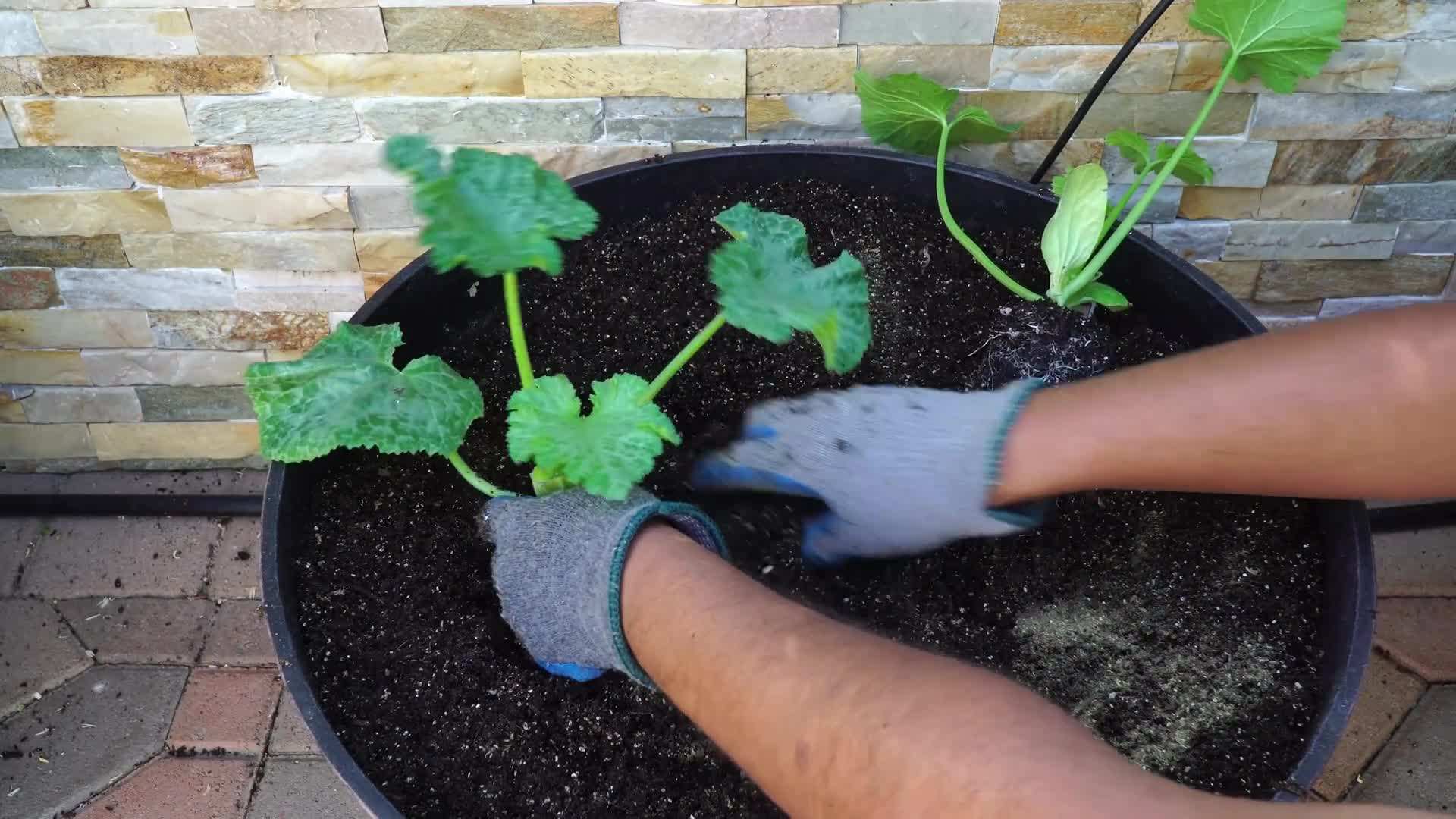 Choosing the Right Container