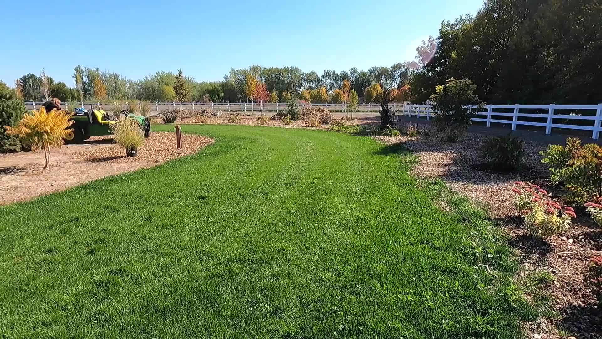 Applying mulch to help retain moisture and suppress weed growth