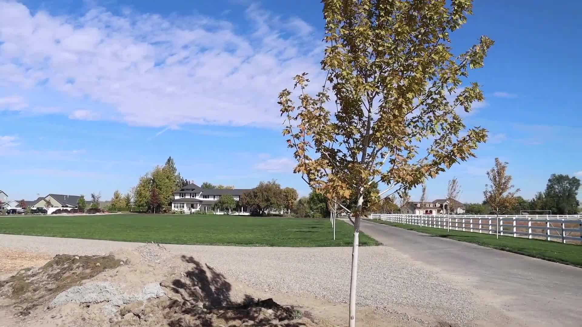 Mulching and Watering the 'Royal Raindrops' Crabapple Tree
