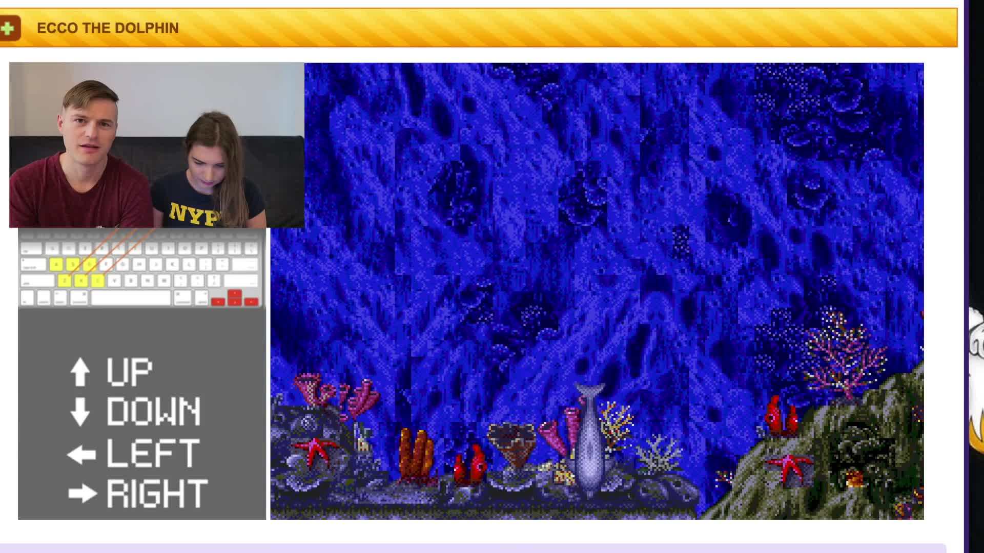 Ecco the Dolphin Underwater World