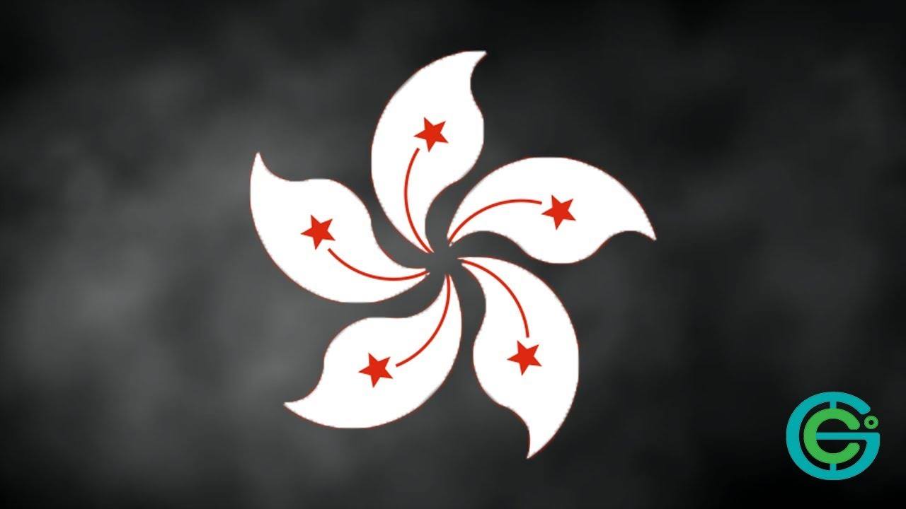 Understanding the Hong Kong Protests: A Comprehensive Explanation