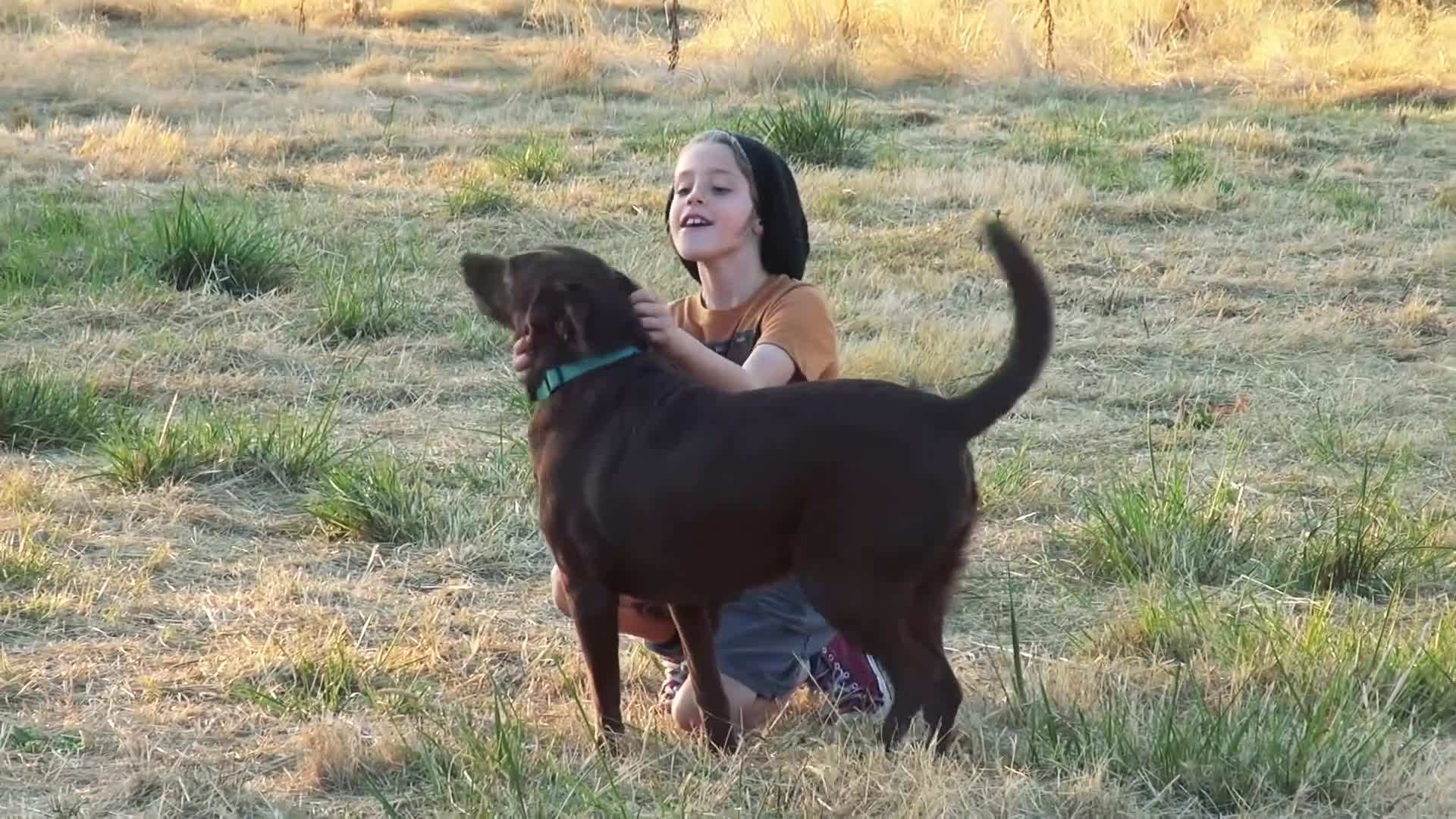 Exterior view of the bus in a breathtaking natural setting