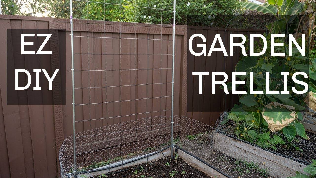 Easiest & Cheapest DIY Trellis For Cucumbers, Beans & Other Plants Using EMT Conduits & Cattle Panel