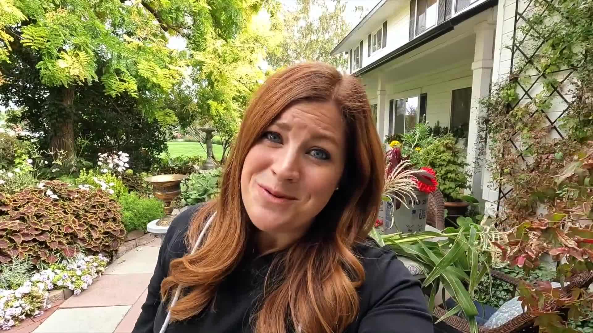 A variety of colorful flowers displayed on a table