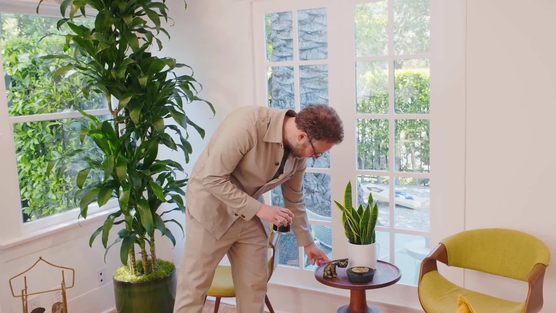 Houseplant's diverse range of cannabis products