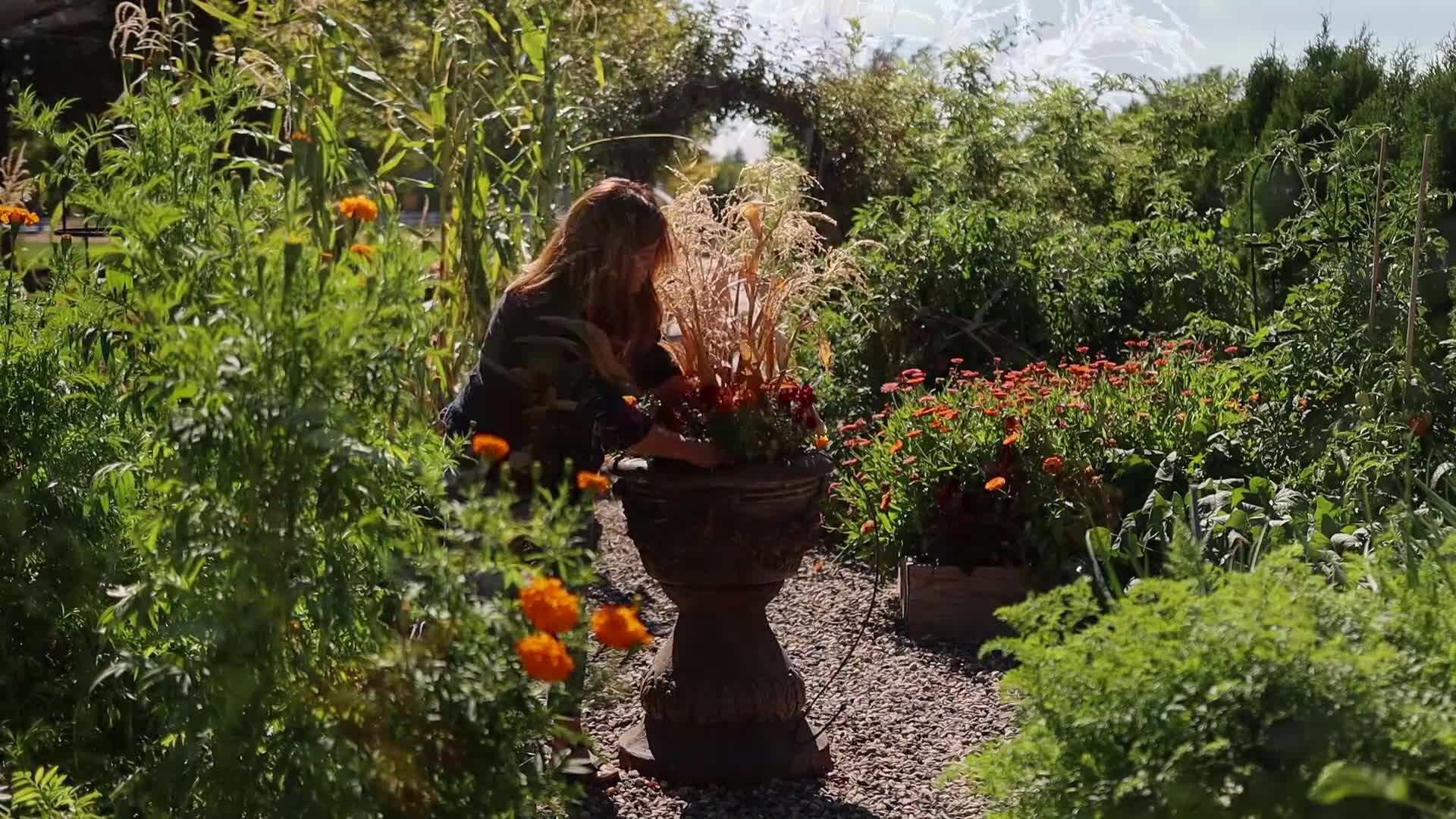 Espoma Organic Potting Soil Mix