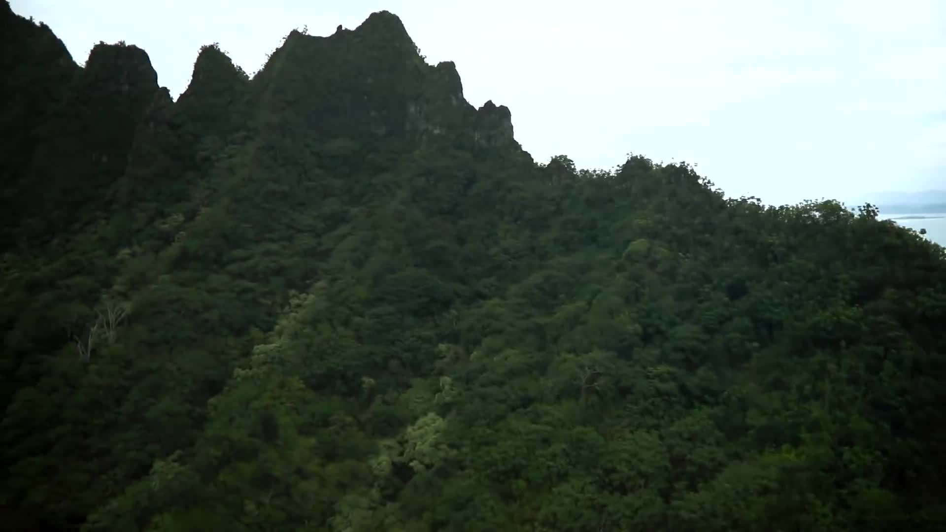 Aerial view of Pearl Harbour with the USS Arizona memorial