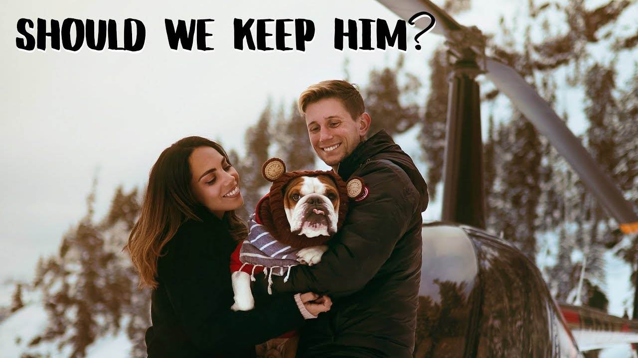 Flying Dog Adventure in Vancouver: Exploring the Home of Bentley the Flying K9