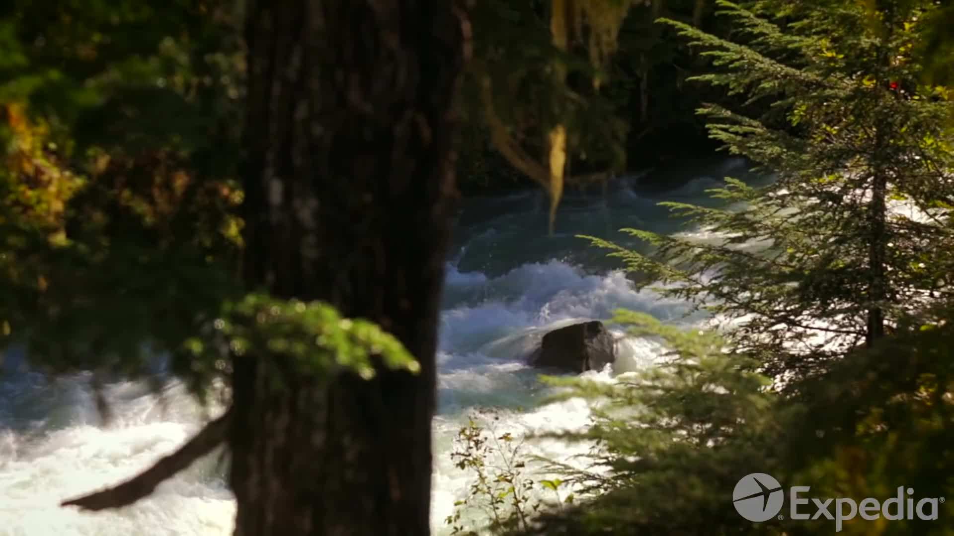 Capilano Suspension Bridge Park: A thrilling treetop experience