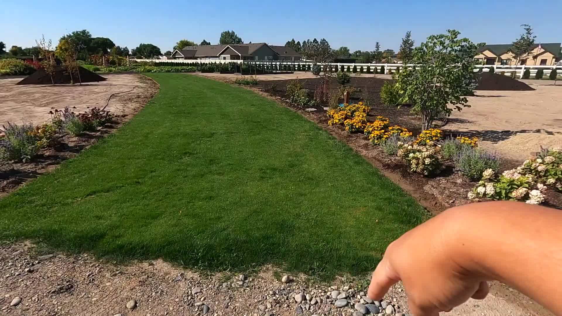 Step-by-step images of using the steel step edger to edge the grass pathway