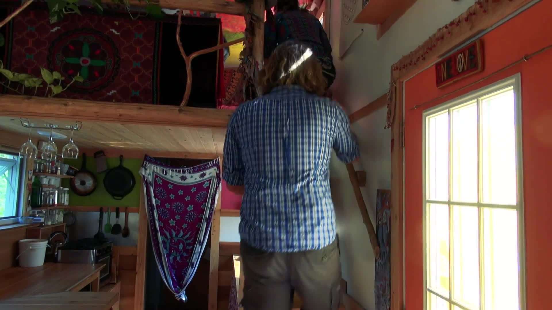 Vegetable garden in the backyard