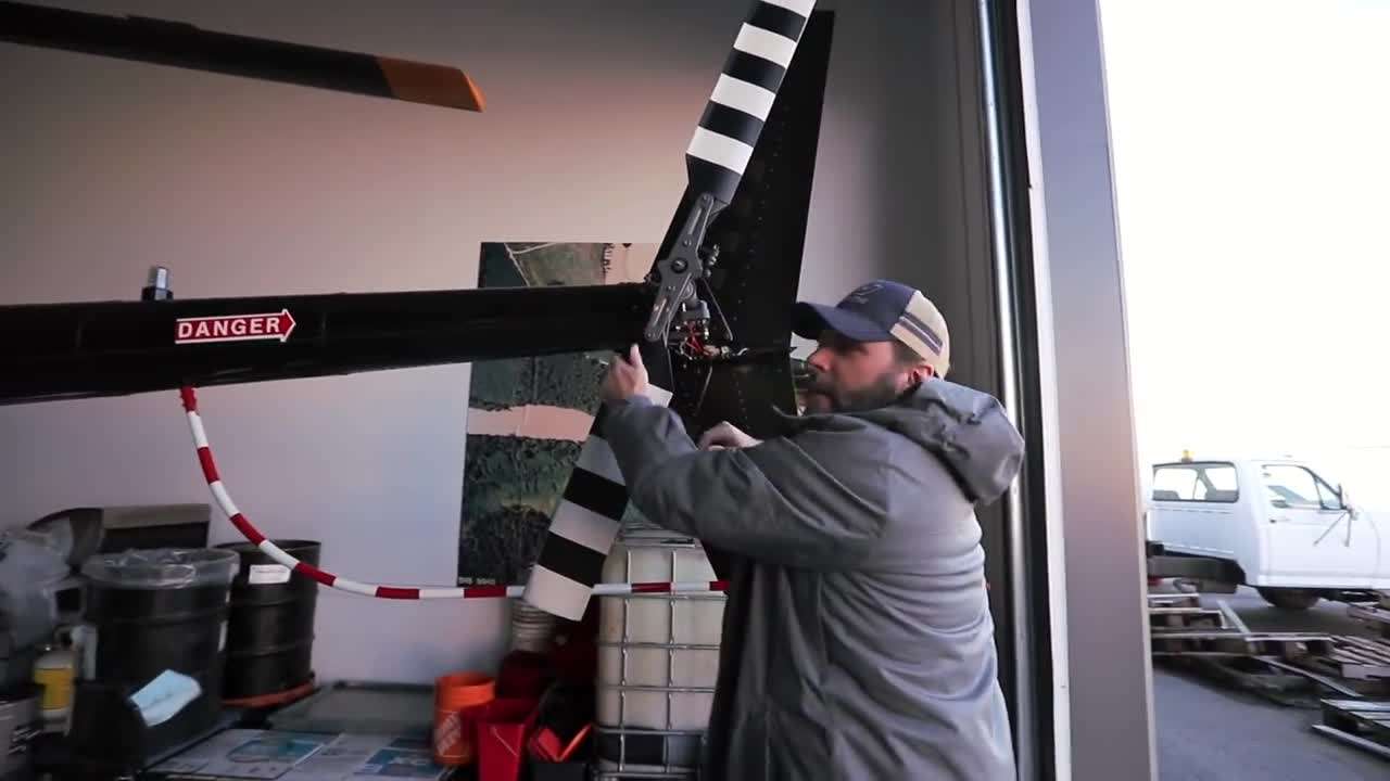 Bentley wearing a harness, ready to take flight