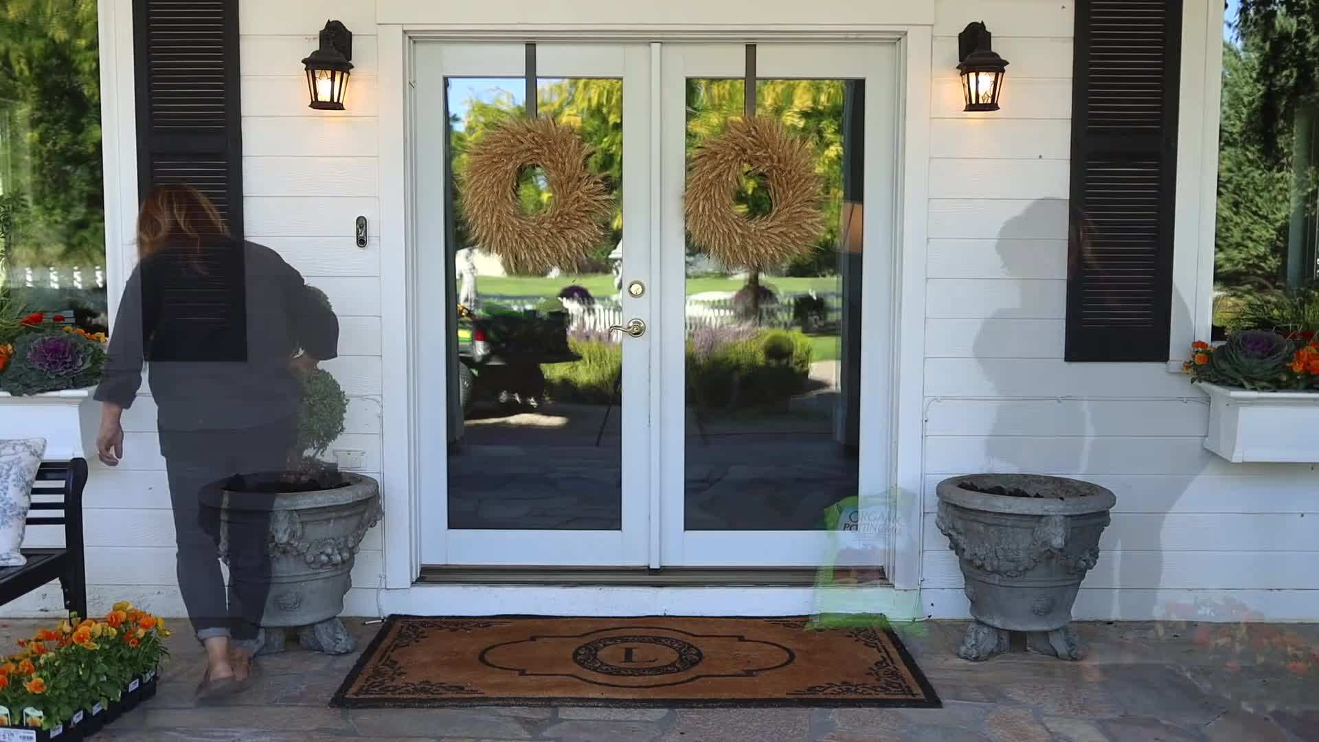 Unique Textures - Echibeckia and Origanum Kent Beauty