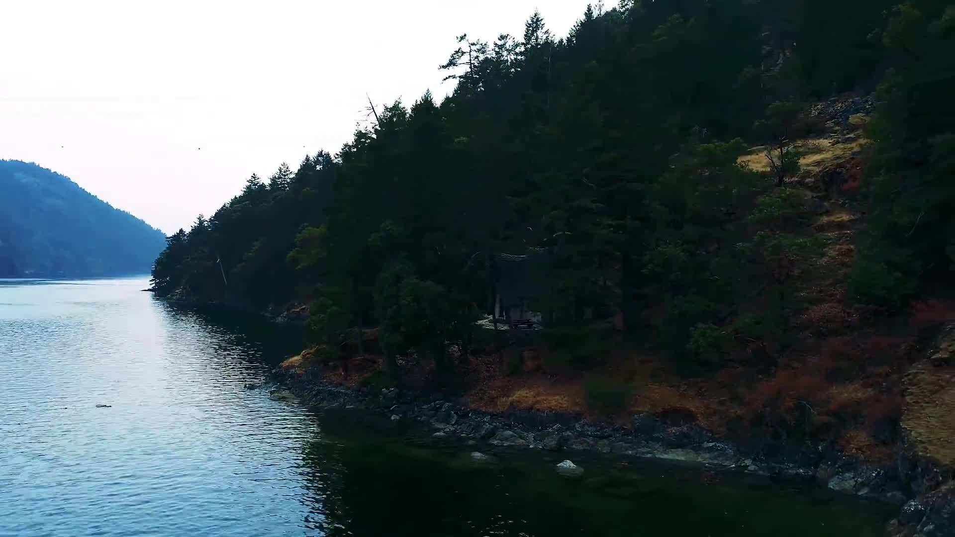Cottage Surrounded by Nature