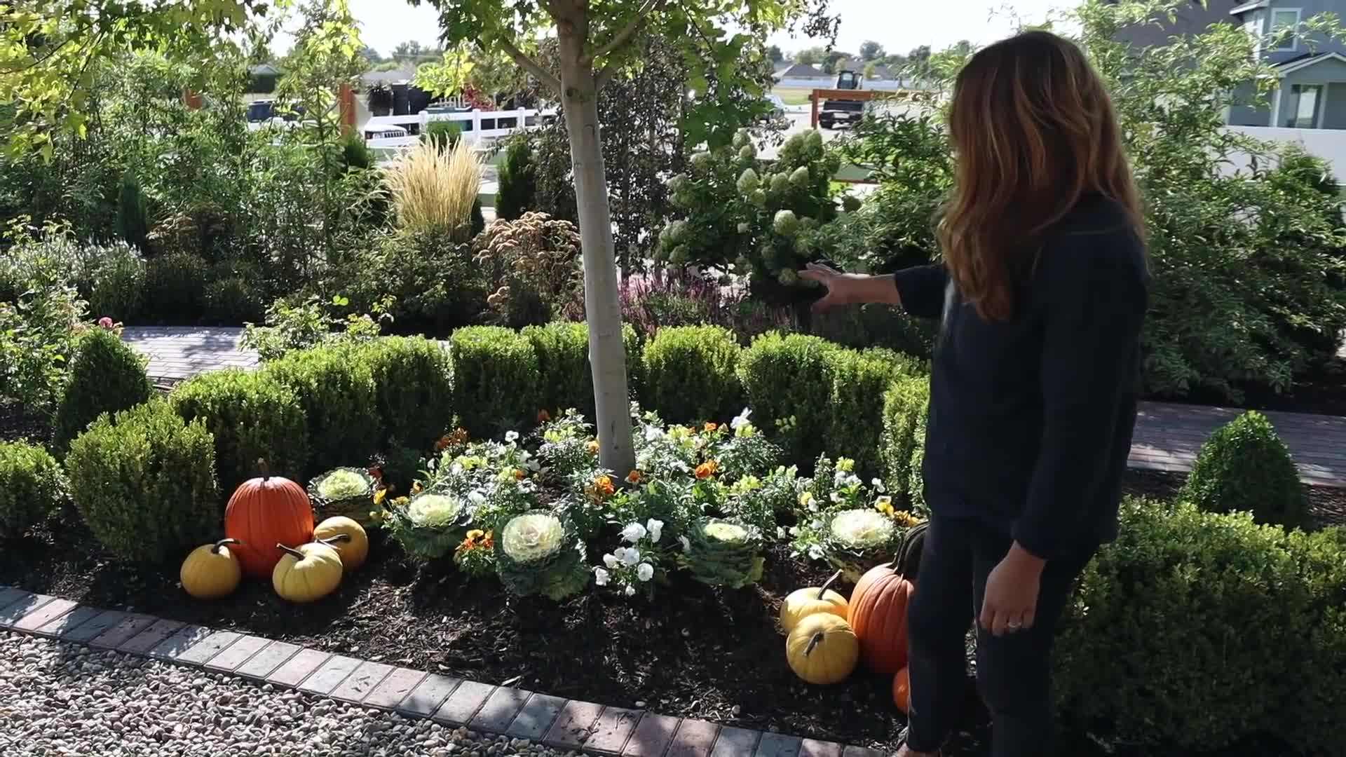 A vibrant floral arrangement with yellow and orange pansies