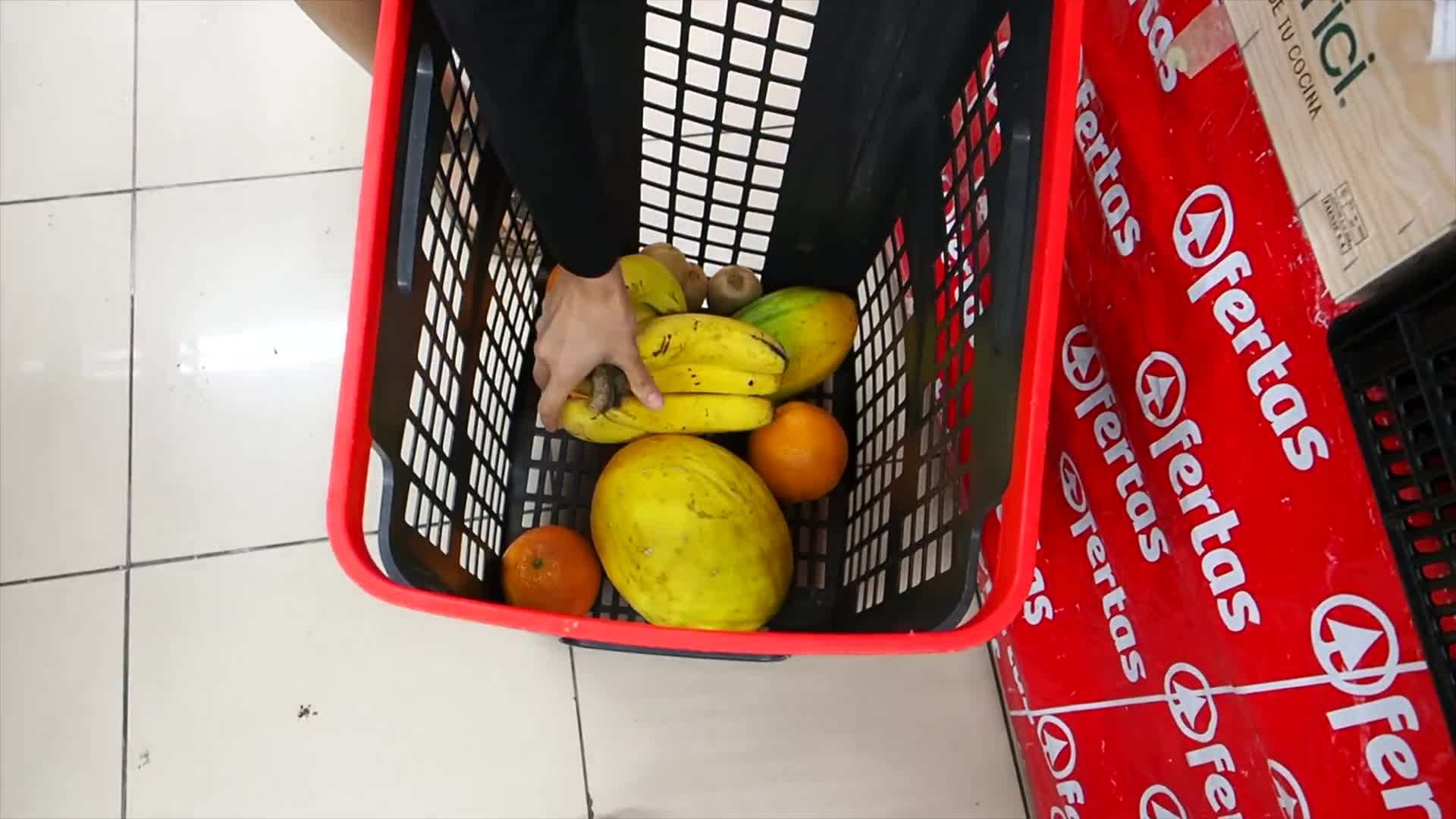 Ancient ruins in a lush jungle