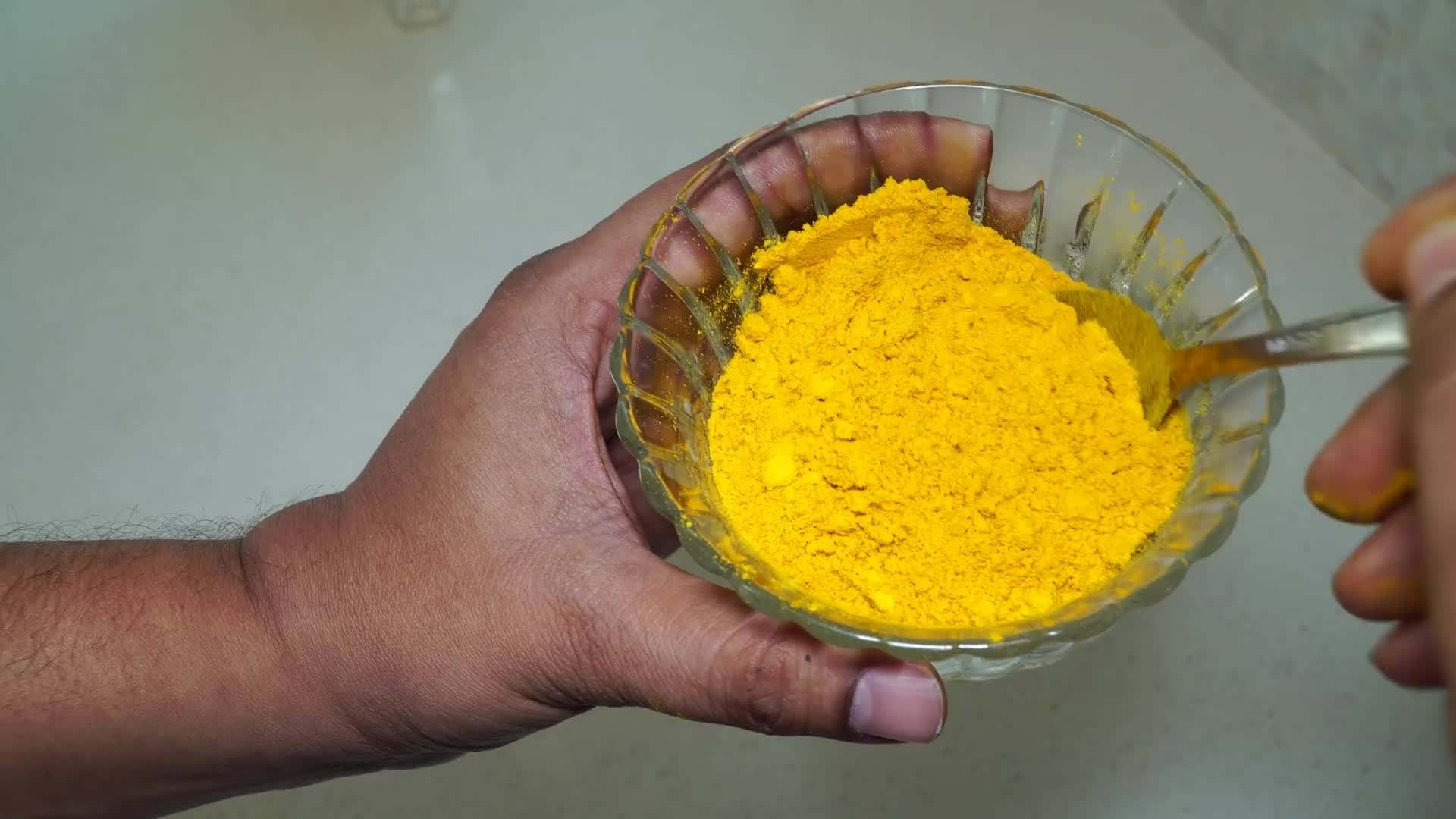 Turmeric plants with large green leaves