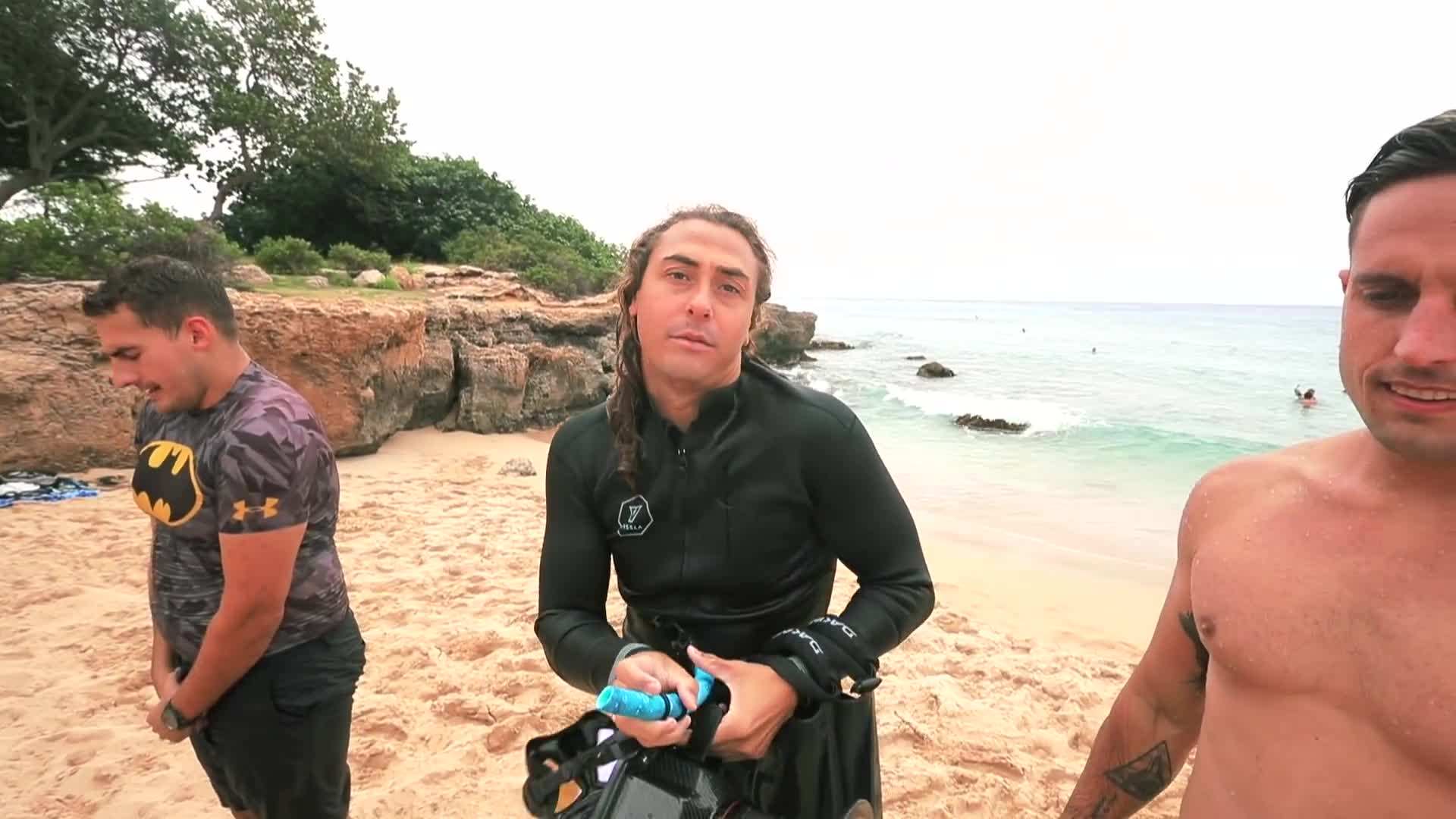 Diving into a vibrant coral reef teeming with tropical fish