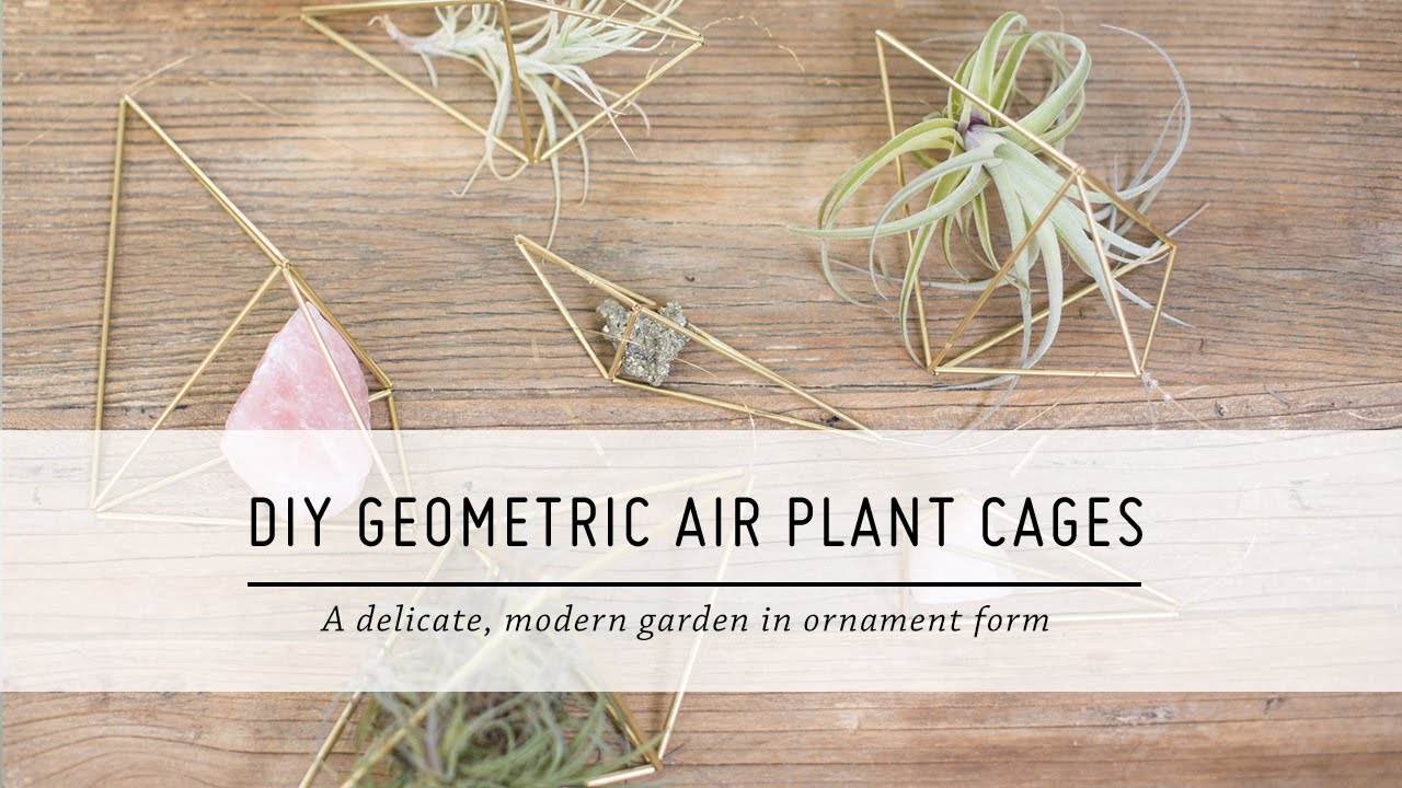DIY Geometric Air Plant Cages: Spruce Up Your Home Decor with this Easy Tutorial