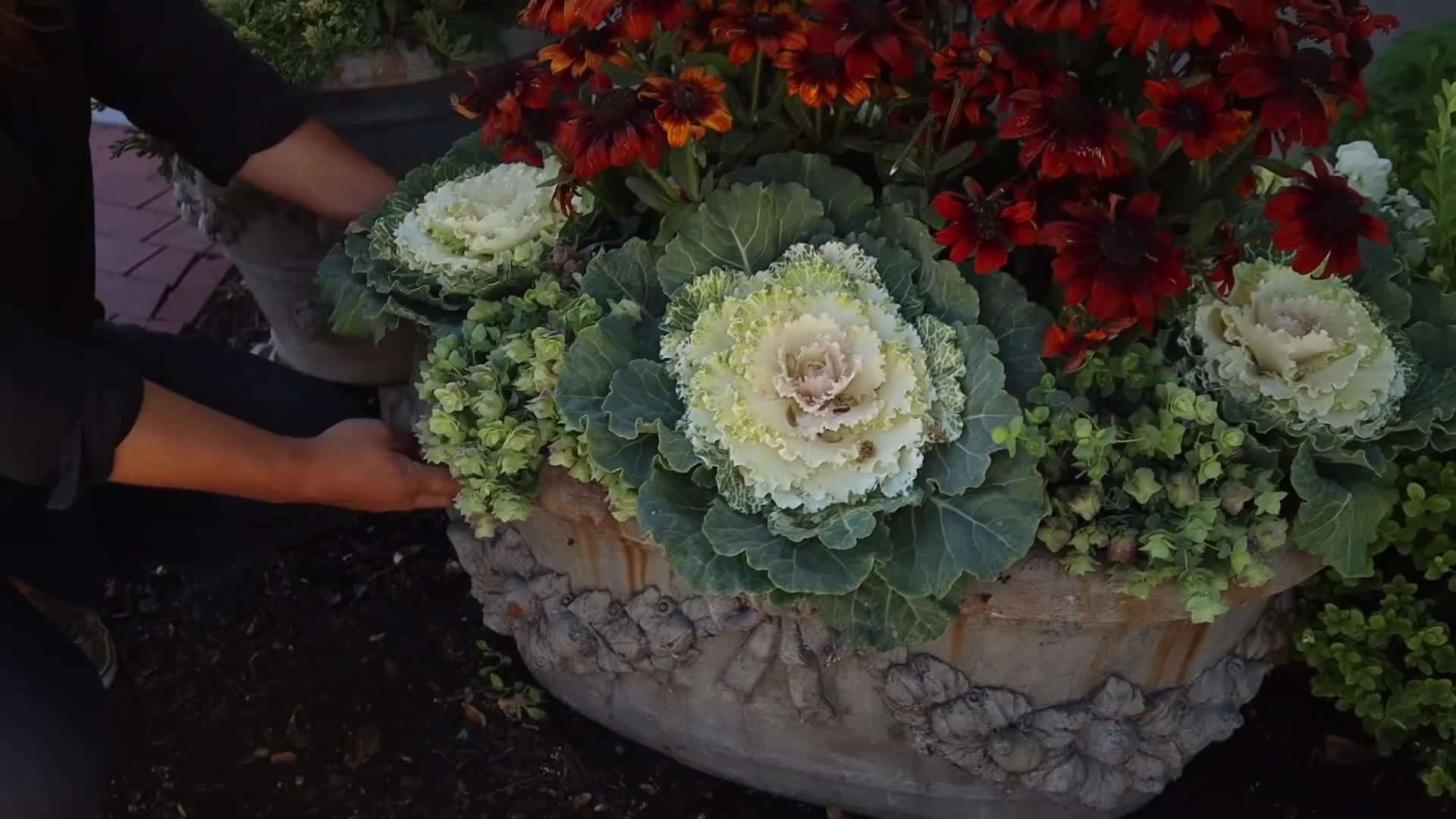 Decorative Accents - Pumpkins, Gourds, and Seasonal Ornaments