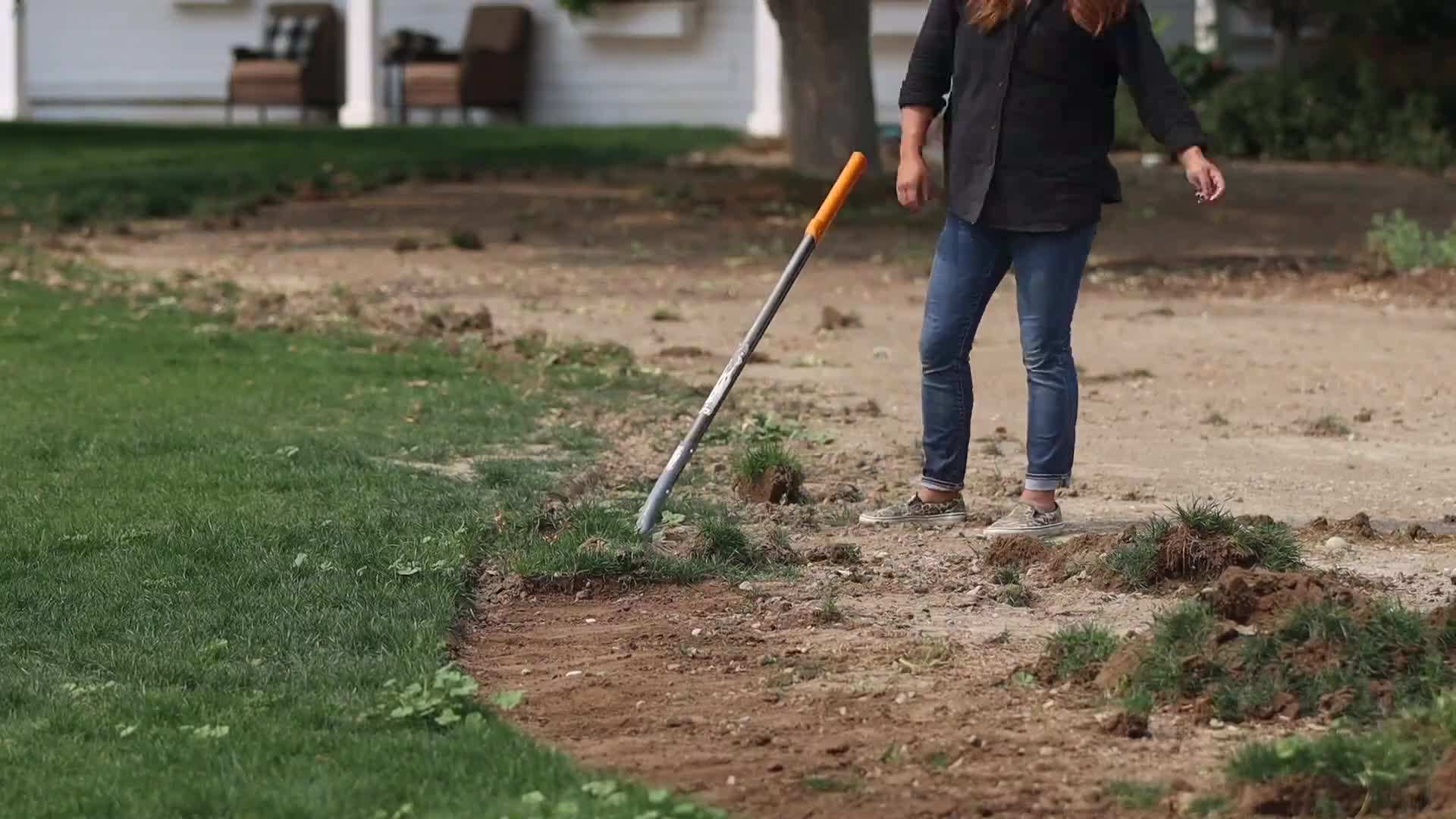 Close-up of a neatly edged grass pathway in a flower garden