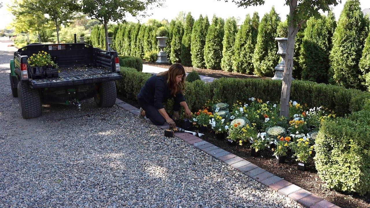 Fall Flowers & Pumpkins in the West Side Formal Garden: A Colorful and Festive Delight