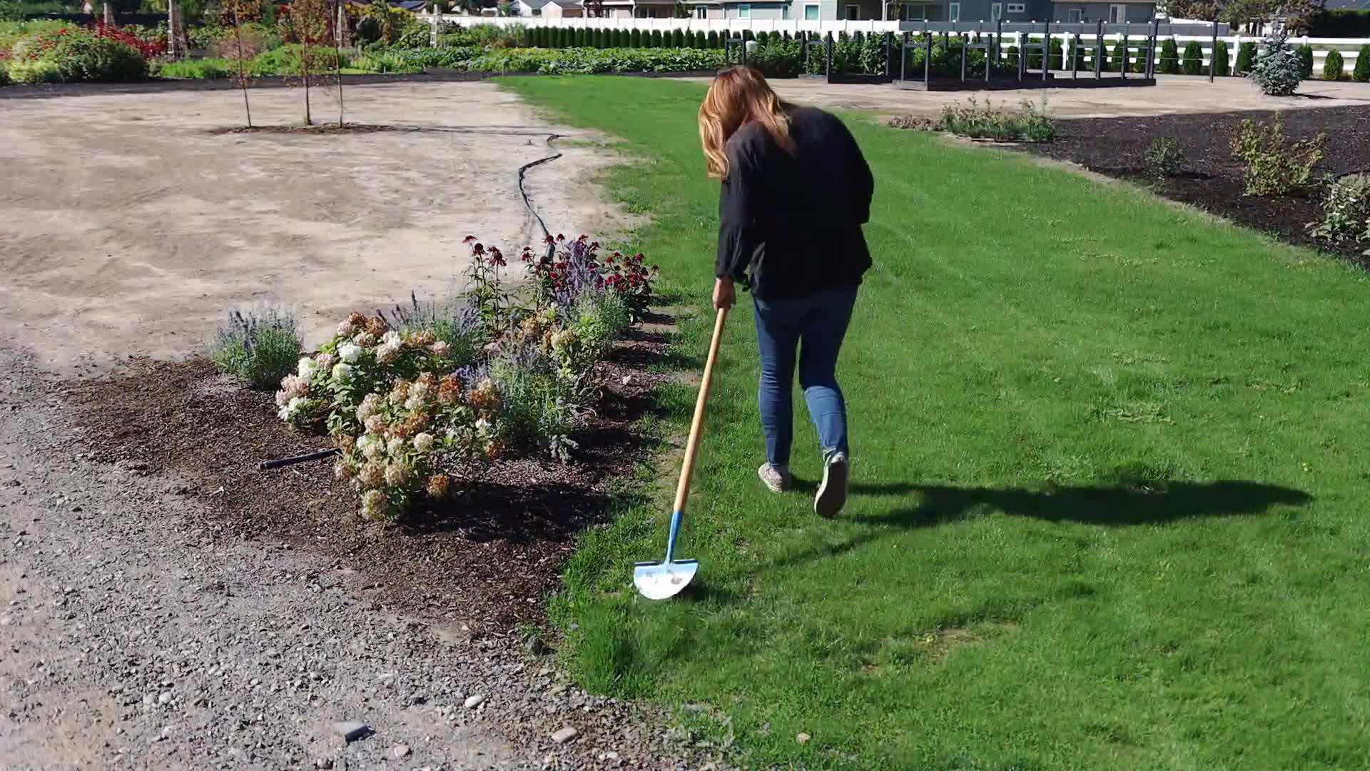 Step-by-step demonstration of edging the grass pathway