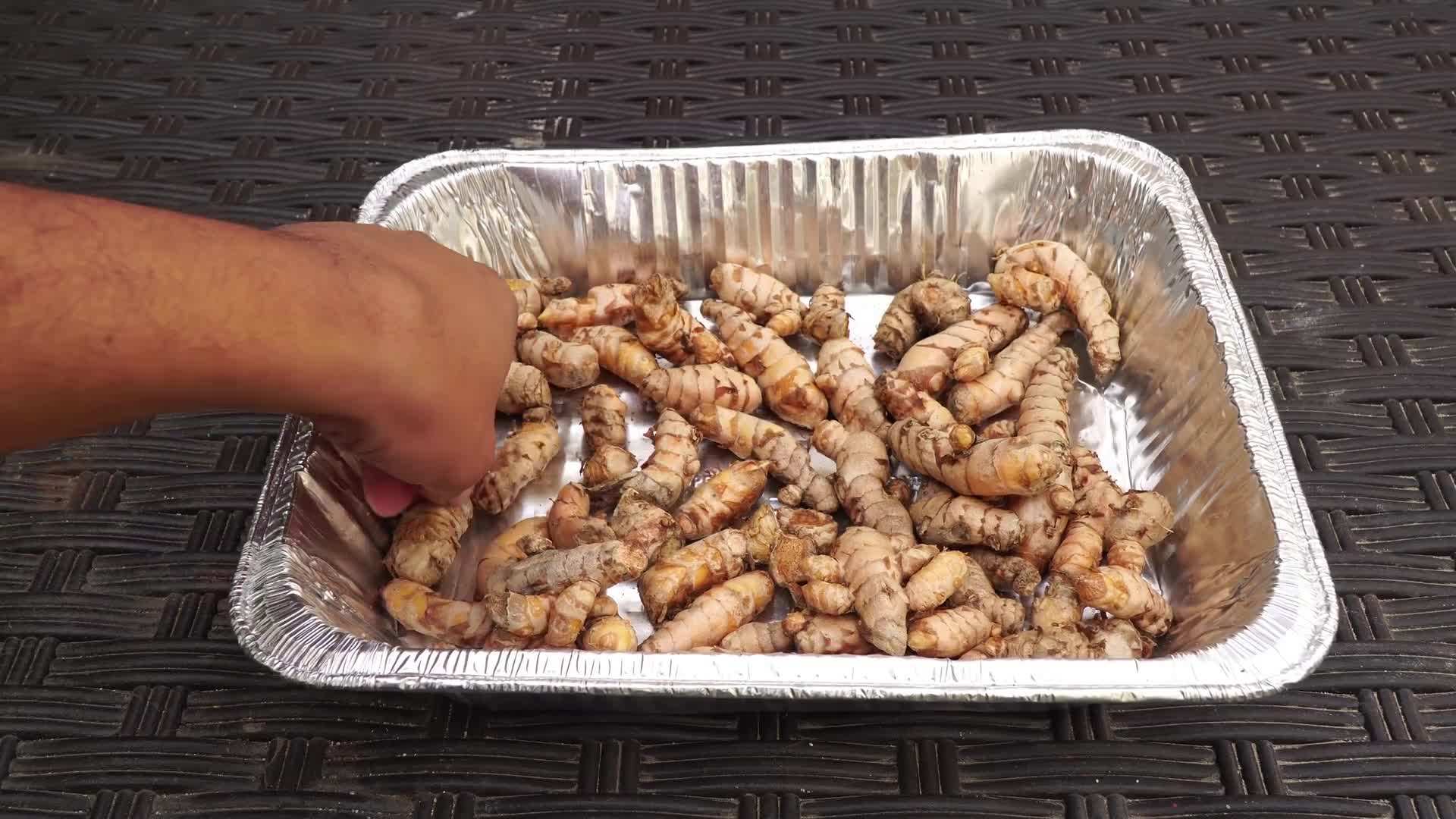 Planting fresh turmeric rhizomes in the soil